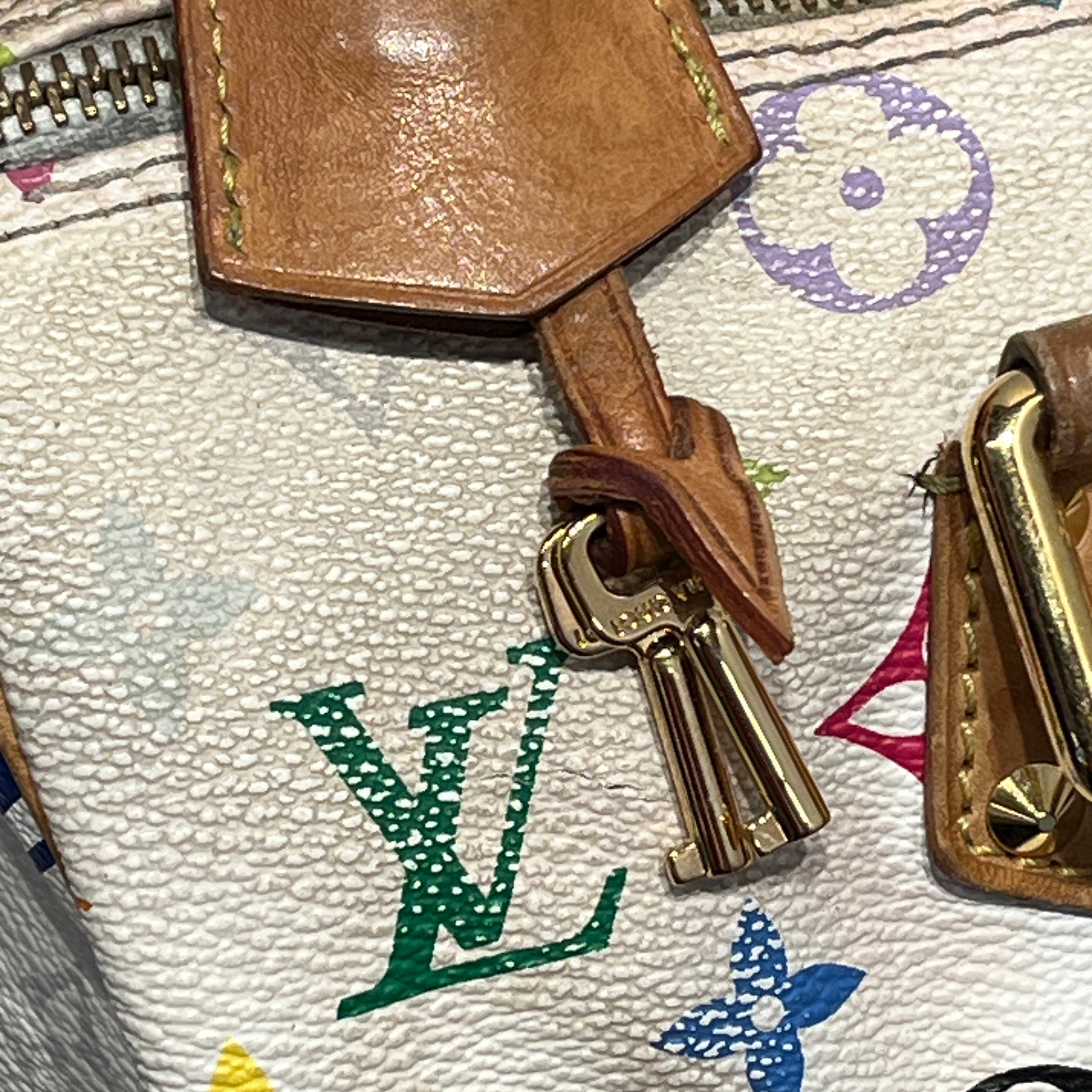 LOUIS VUITTON/Hand Bag/Monogram/MLT/TAKASHI MURAKAMI view 12