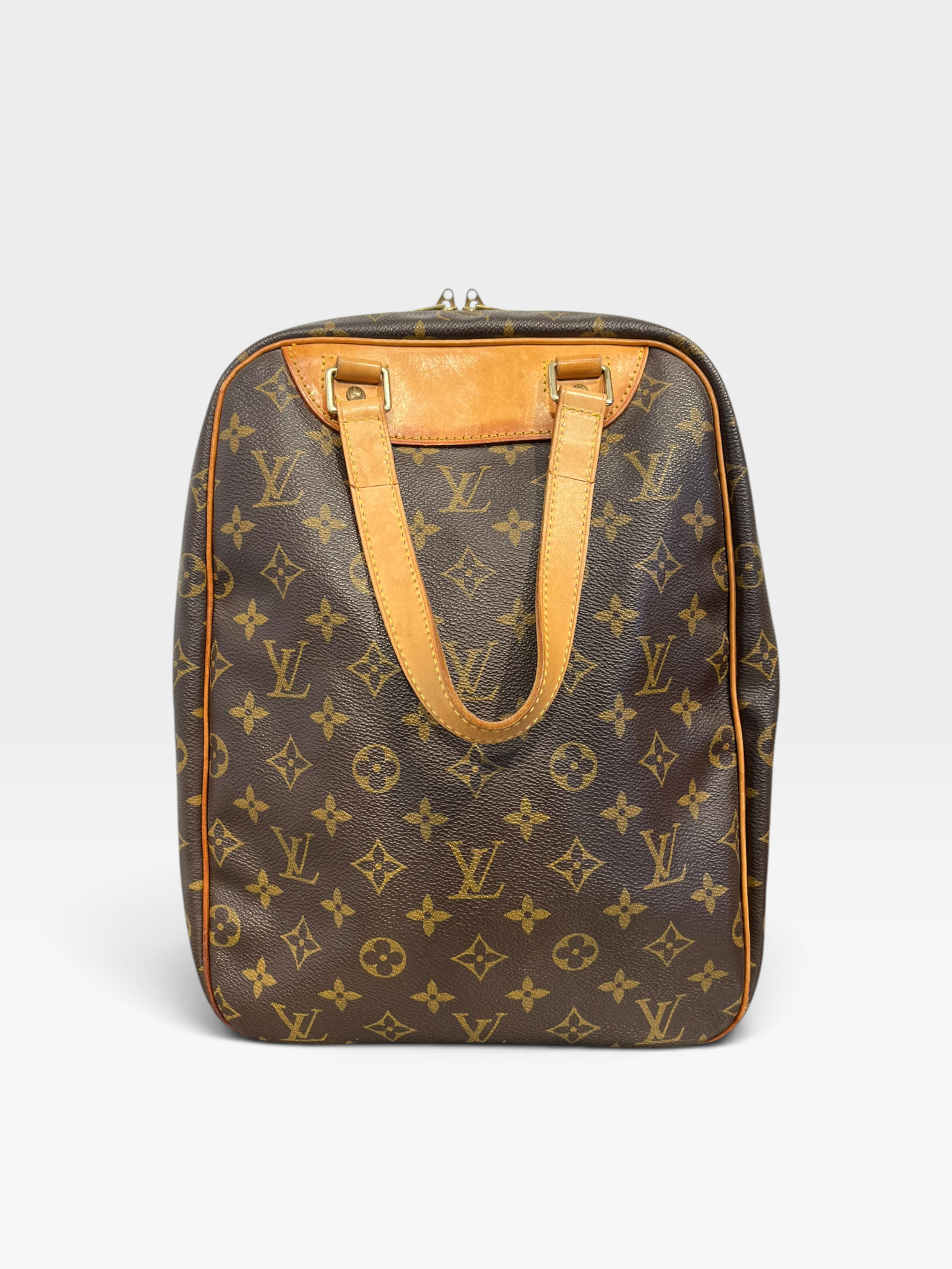 LOUIS VUITTON/Bag/excursion view 2