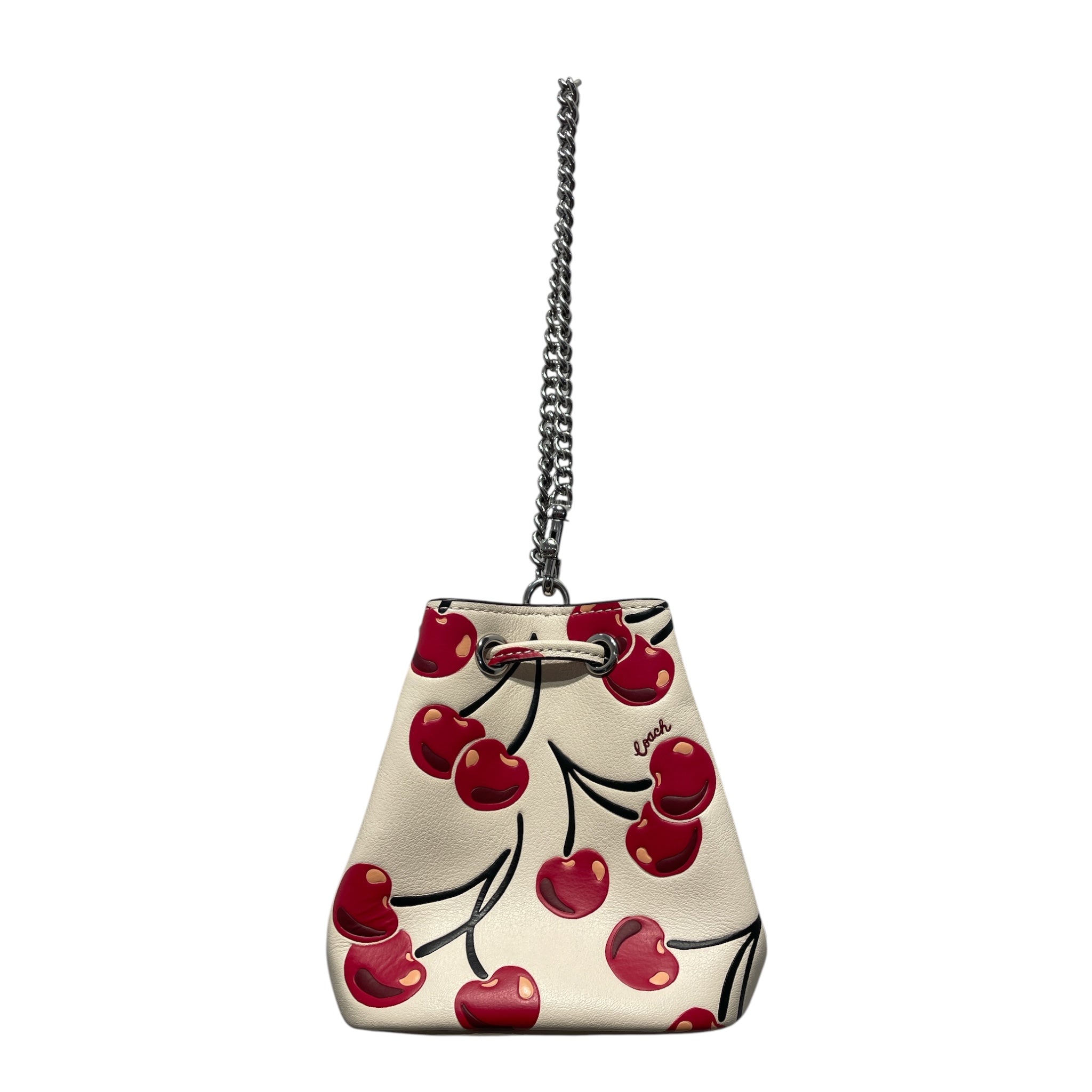 COACH/Pouch/All Over Print/Leather/WHT/Cherry Chain Wrislet view 1