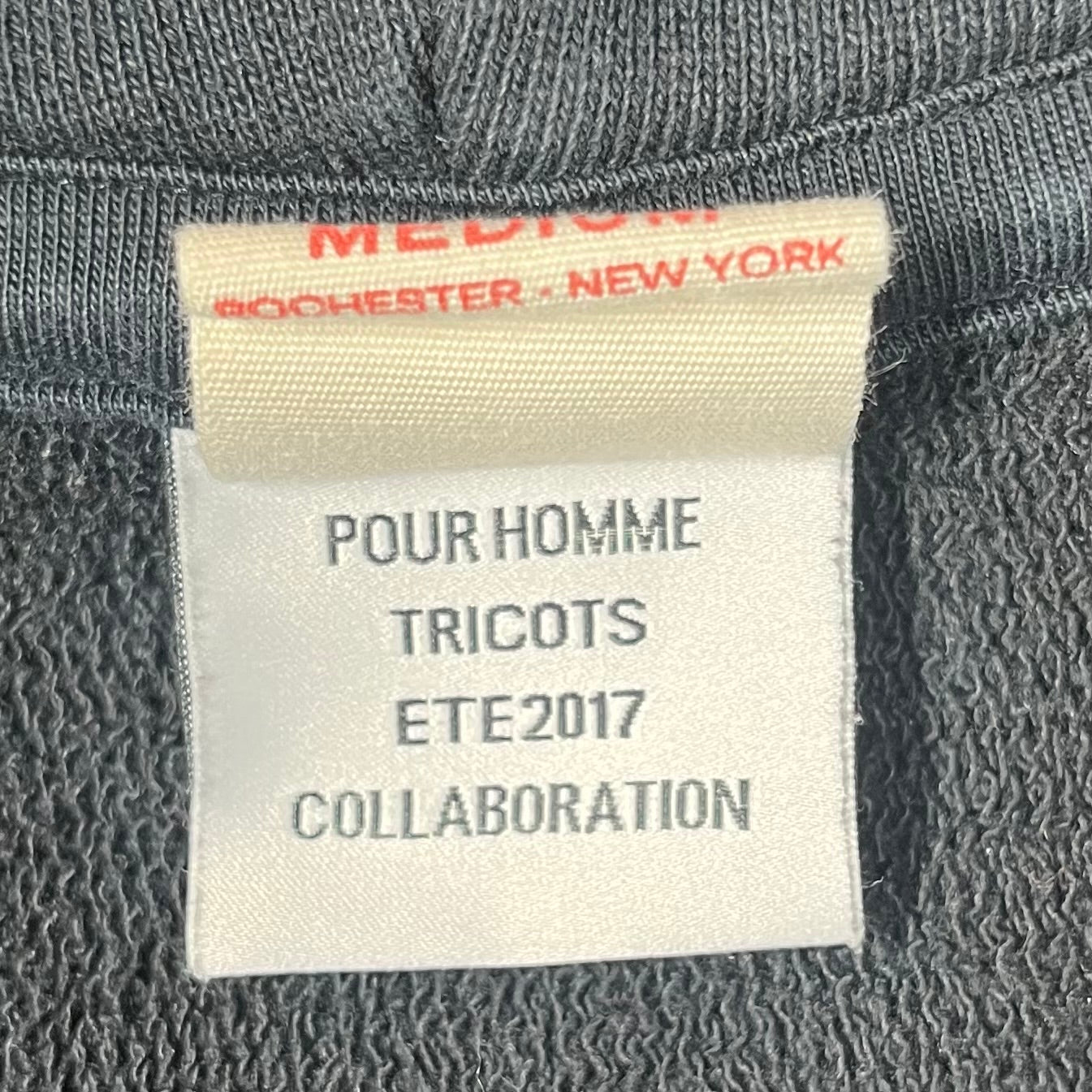 VETEMENTS/Champion/Hoodie/M/Cotton/Black/SS17 Small fit Zip-up view 4