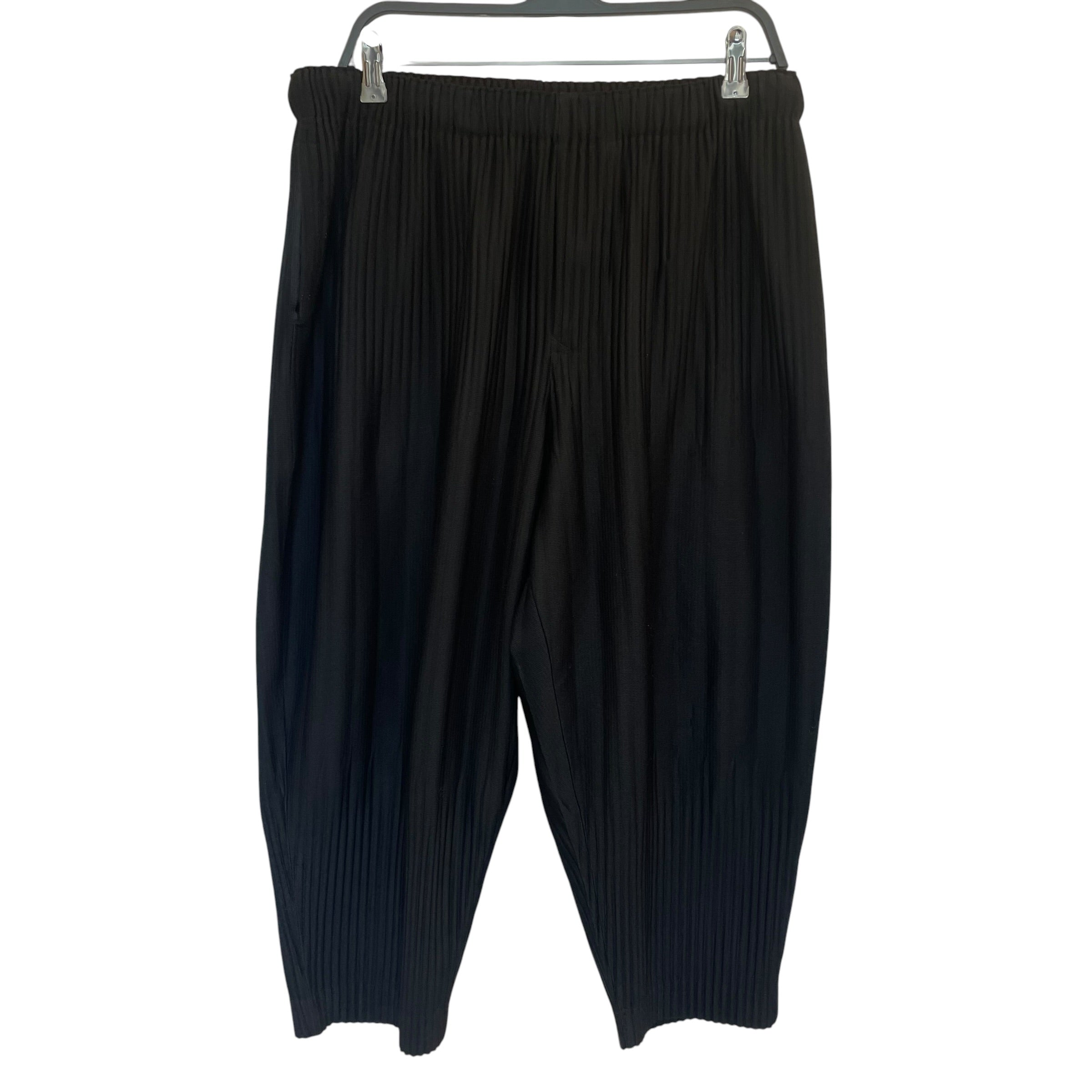 ISSEY MIYAKE/Slacks/3/Cotton/BLK/homme plisse high water view 1