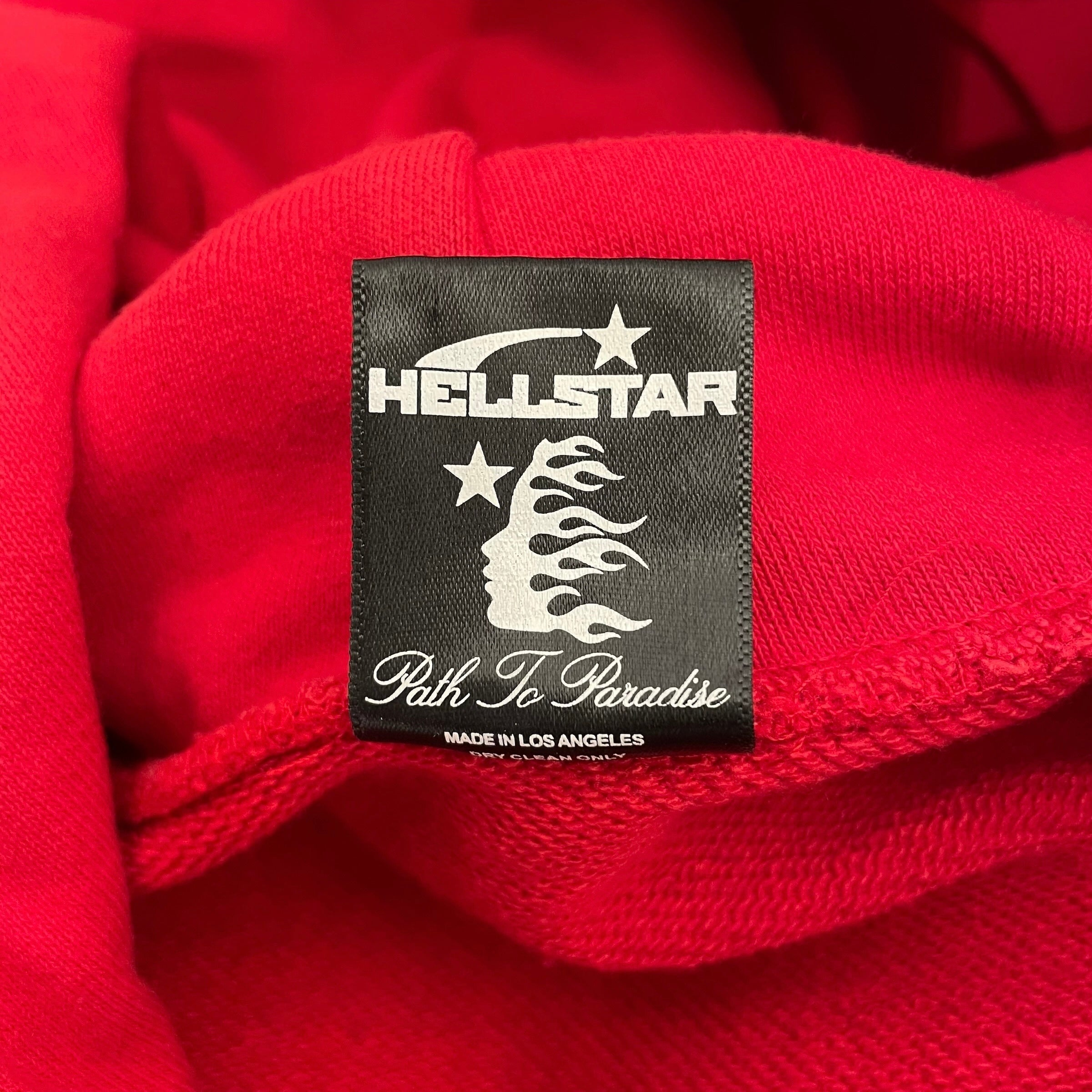 HELLSTAR/Hoodie/L/Cotton/RED/HELLSTAR RECORDS view 4