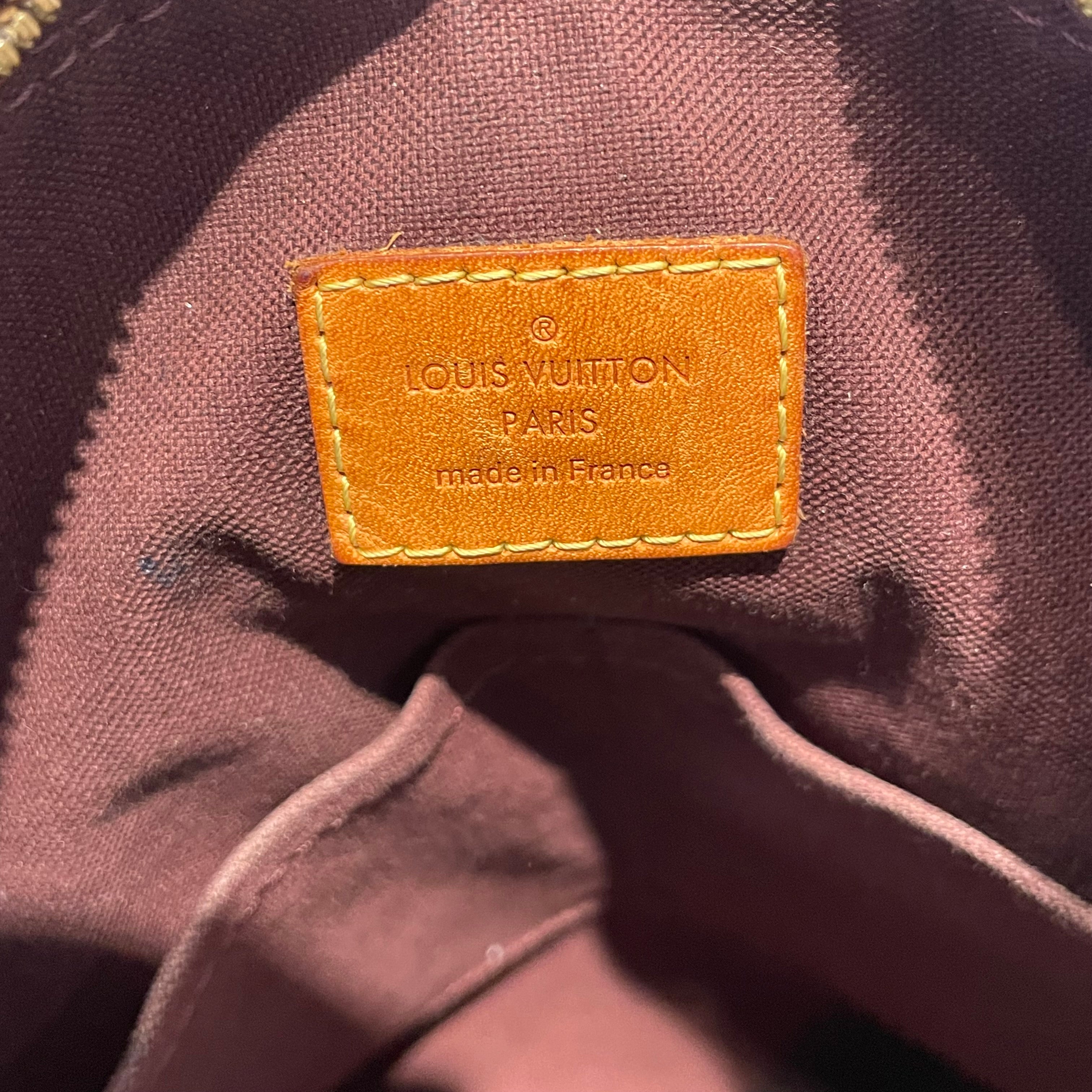 LOUIS VUITTON/Bag/Monogram/BRW/Berri signature coated canvas view 5