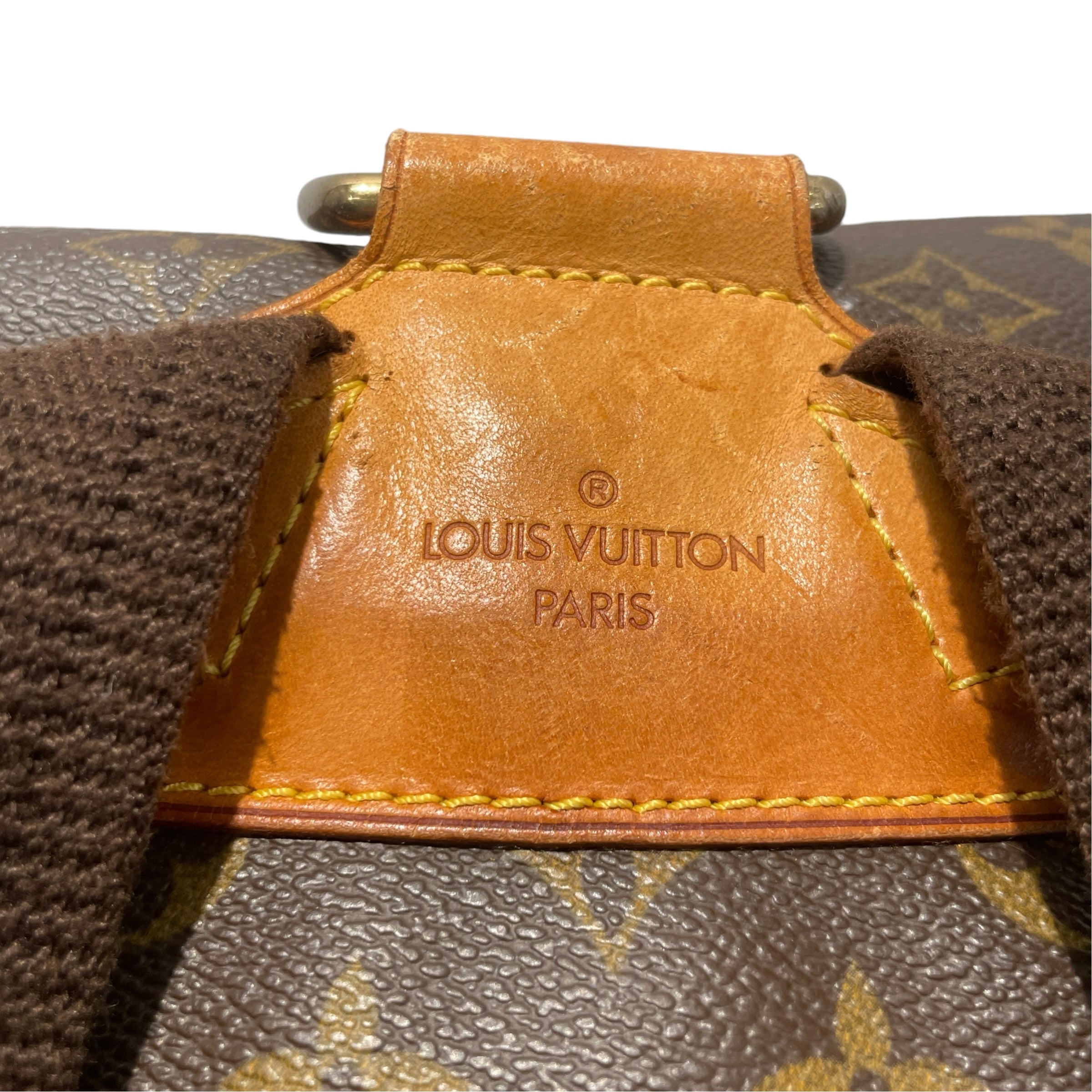 LOUIS VUITTON/Backpack/Monogram/Leather/BRW/Montsouris GM view 3