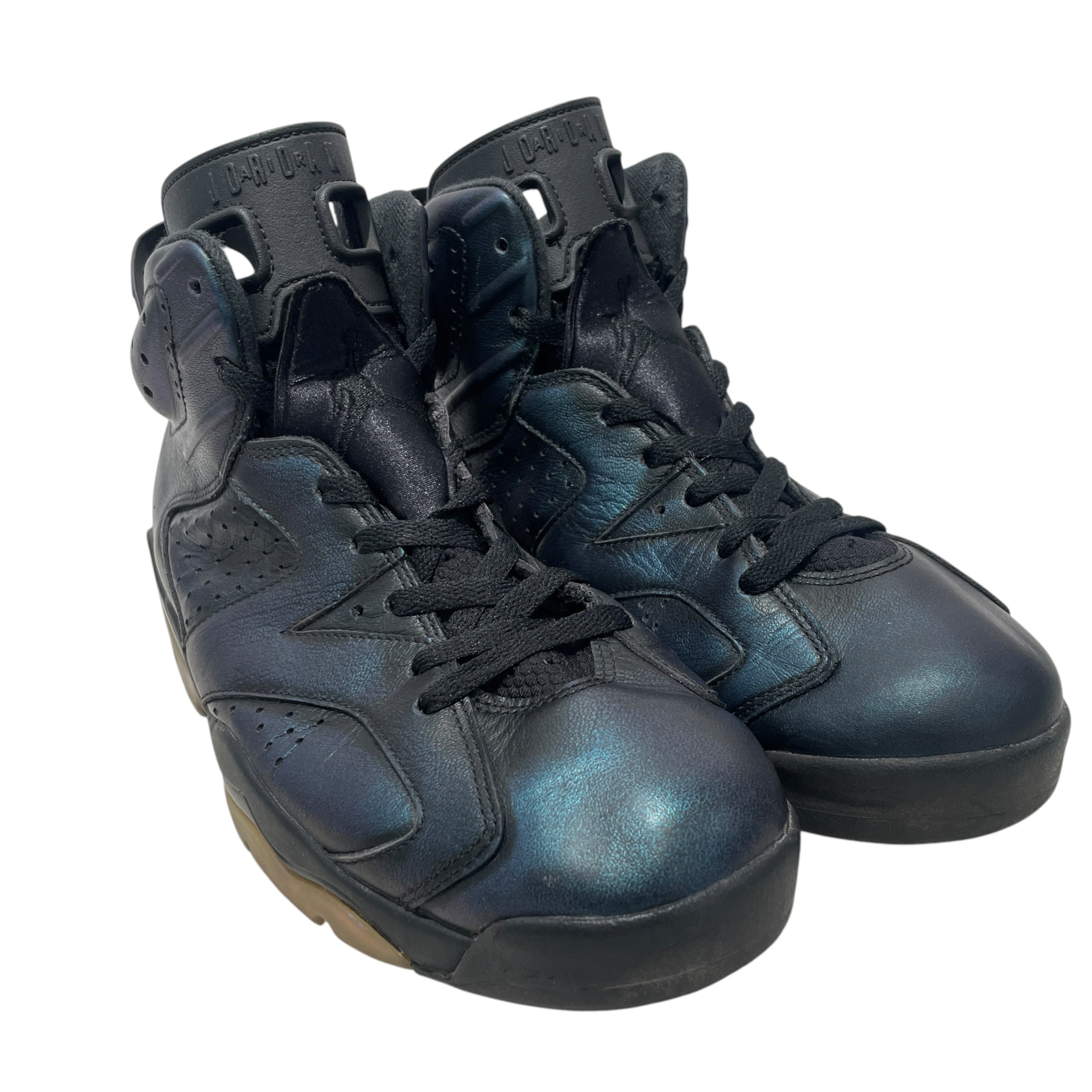 JORDAN BRAND/Hi-Sneakers/US 10/Iridescent/Nylon/BLK/6s allstar chameleon blue tone view 1