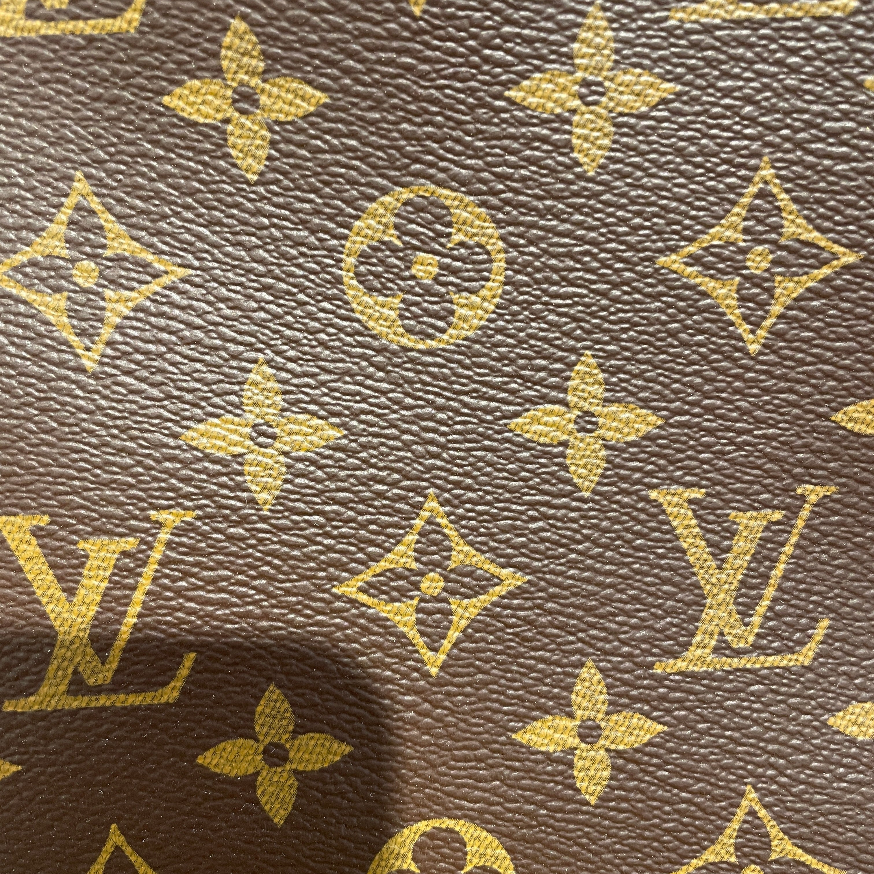 LOUIS VUITTON/Backpack/Monogram/Leather/BRW/MACASSAR JOSH view 6