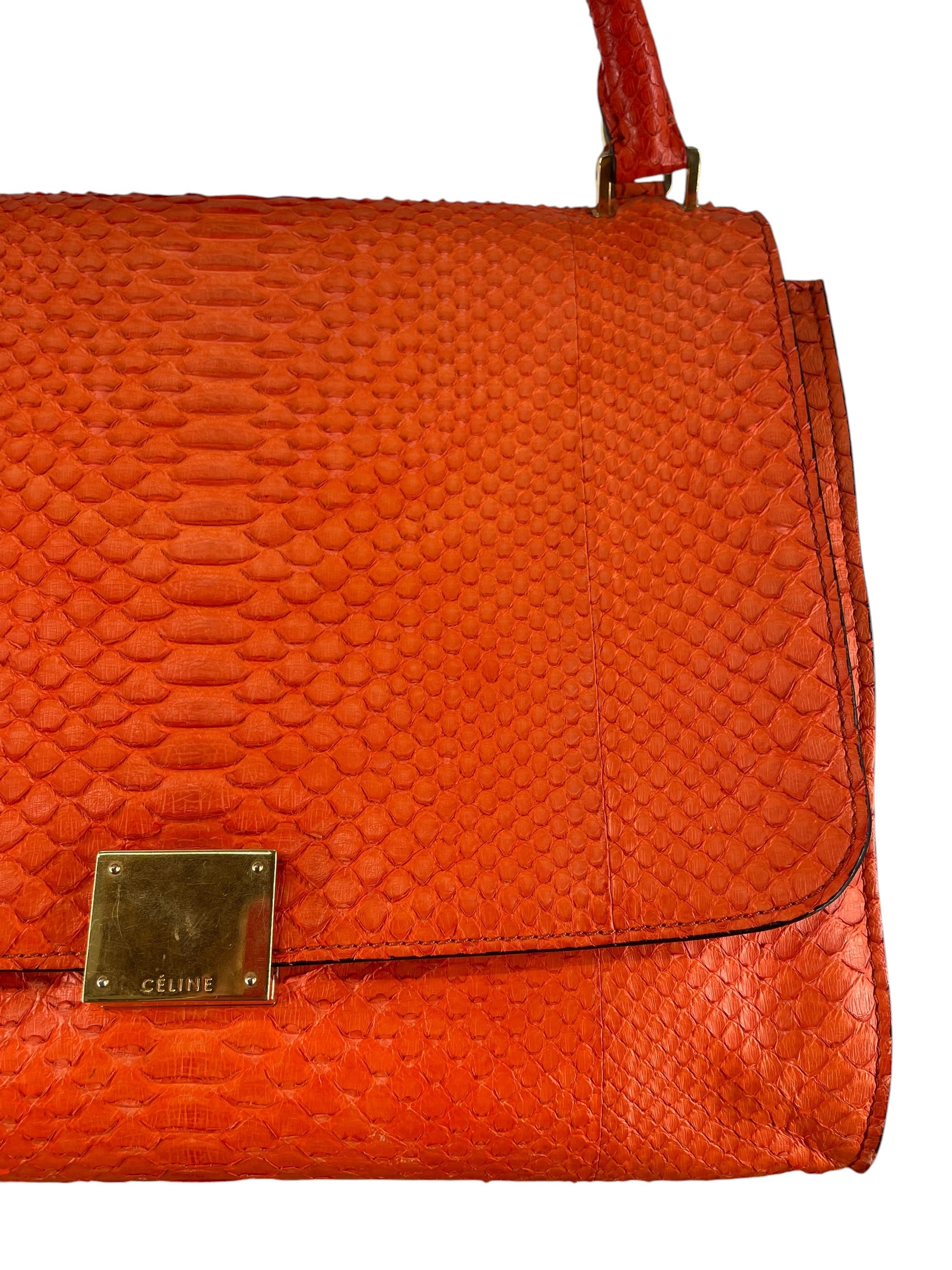 CELINE/Bag/Animal Pattern/Leather/ORN/BRIGHT ORANGE SNAKESKIN BAG view 6