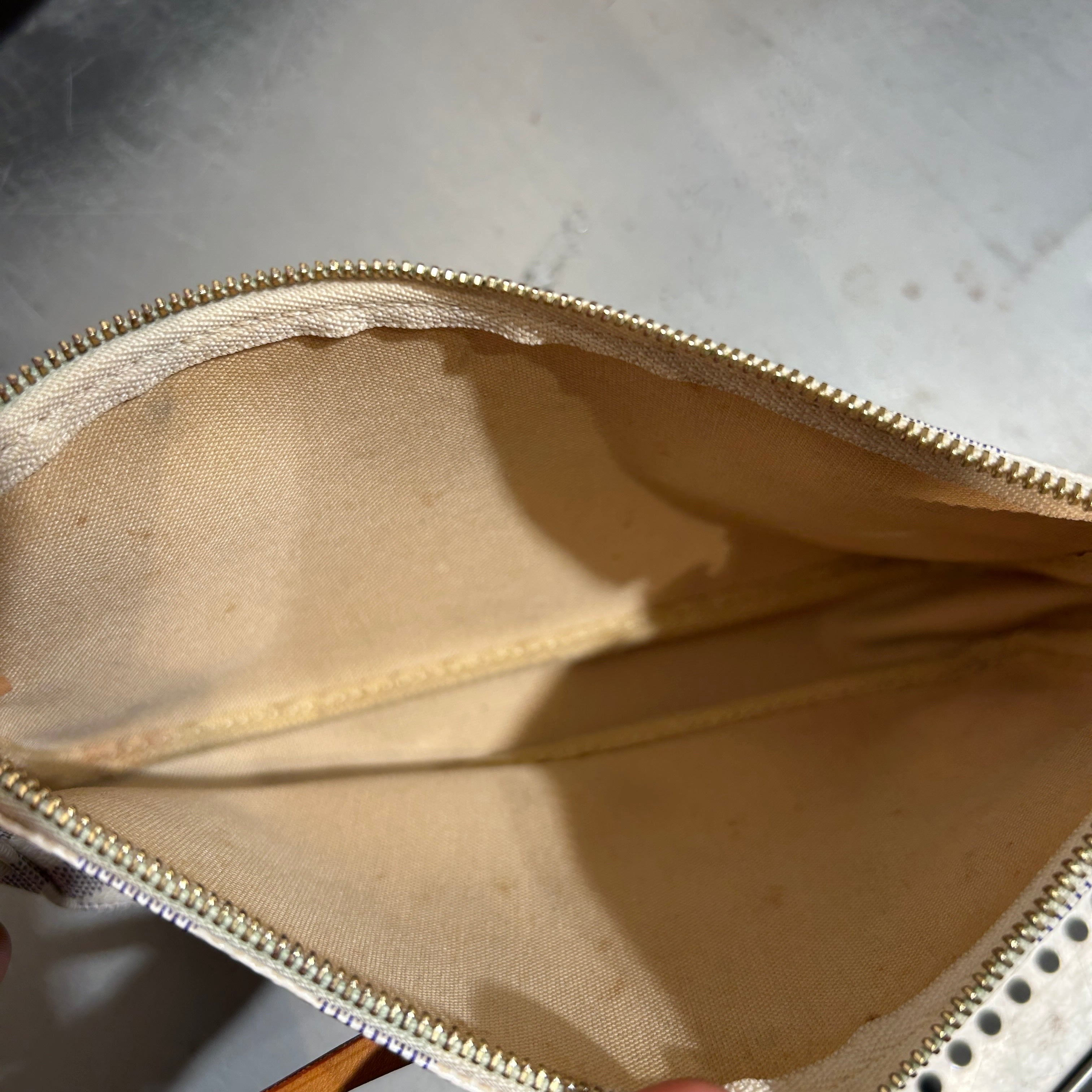 LOUIS VUITTON/Bag/Monogram/Leather/IVR/damier pochette view 4