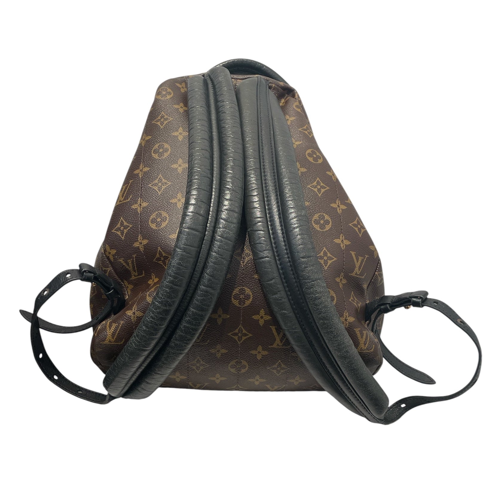 LOUIS VUITTON/Backpack/Monogram/Leather/BRW/palm spring back pack view 2
