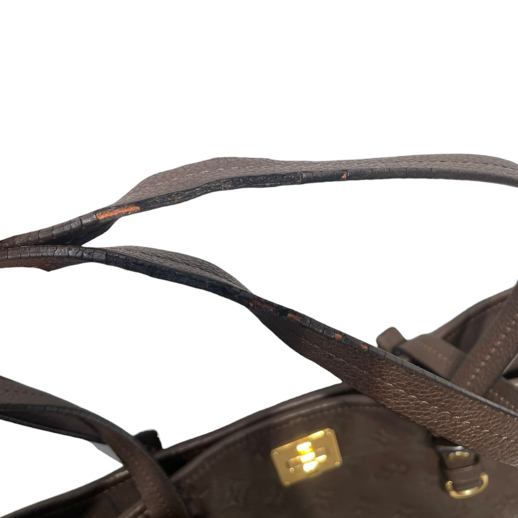 LOUIS VUITTON/Tote Bag/Monogram/Leather/BRW/CITADINE view 7