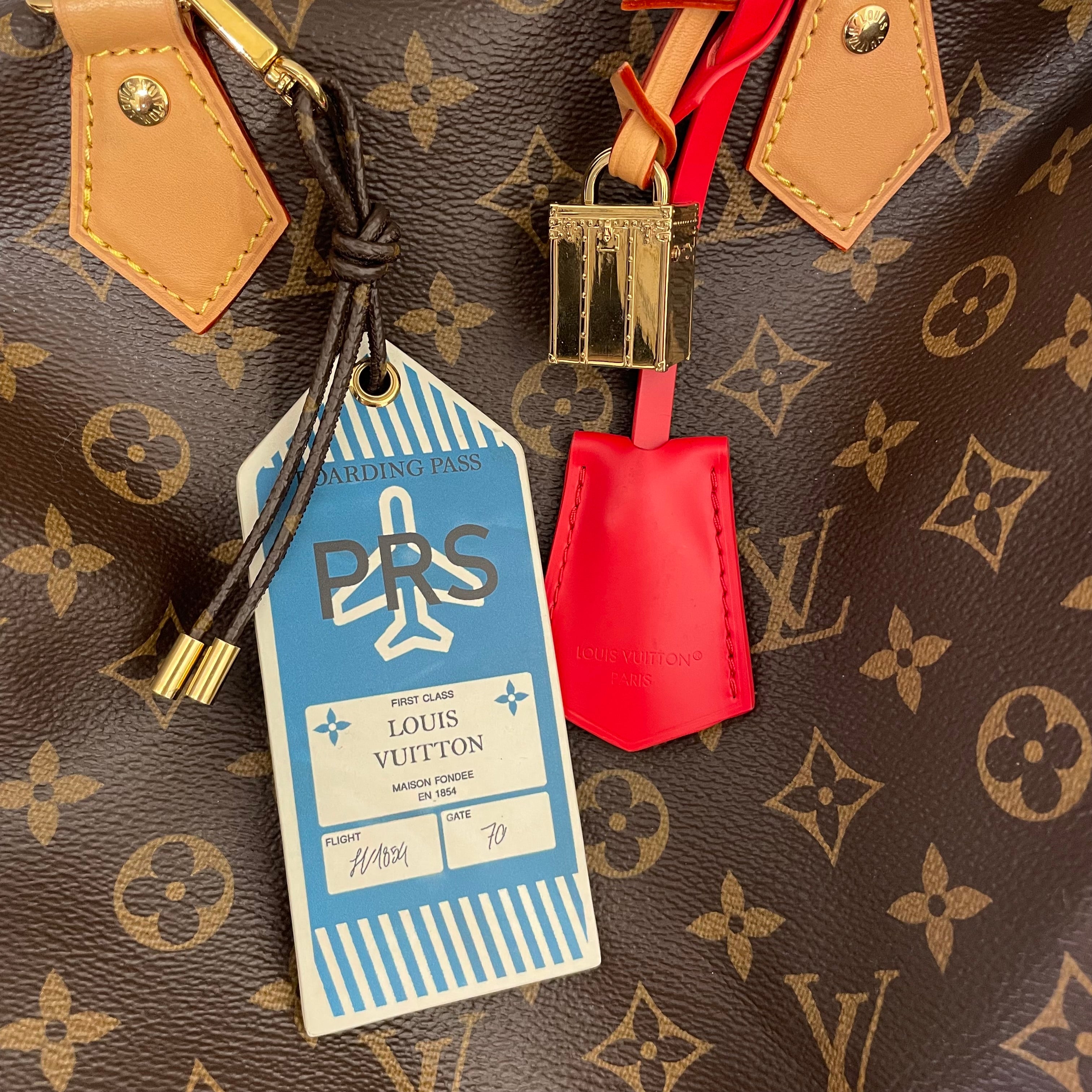 LOUIS VUITTON/Hand Bag/Monogram/Leather/BRW/speedy soft 30 crafty view 7