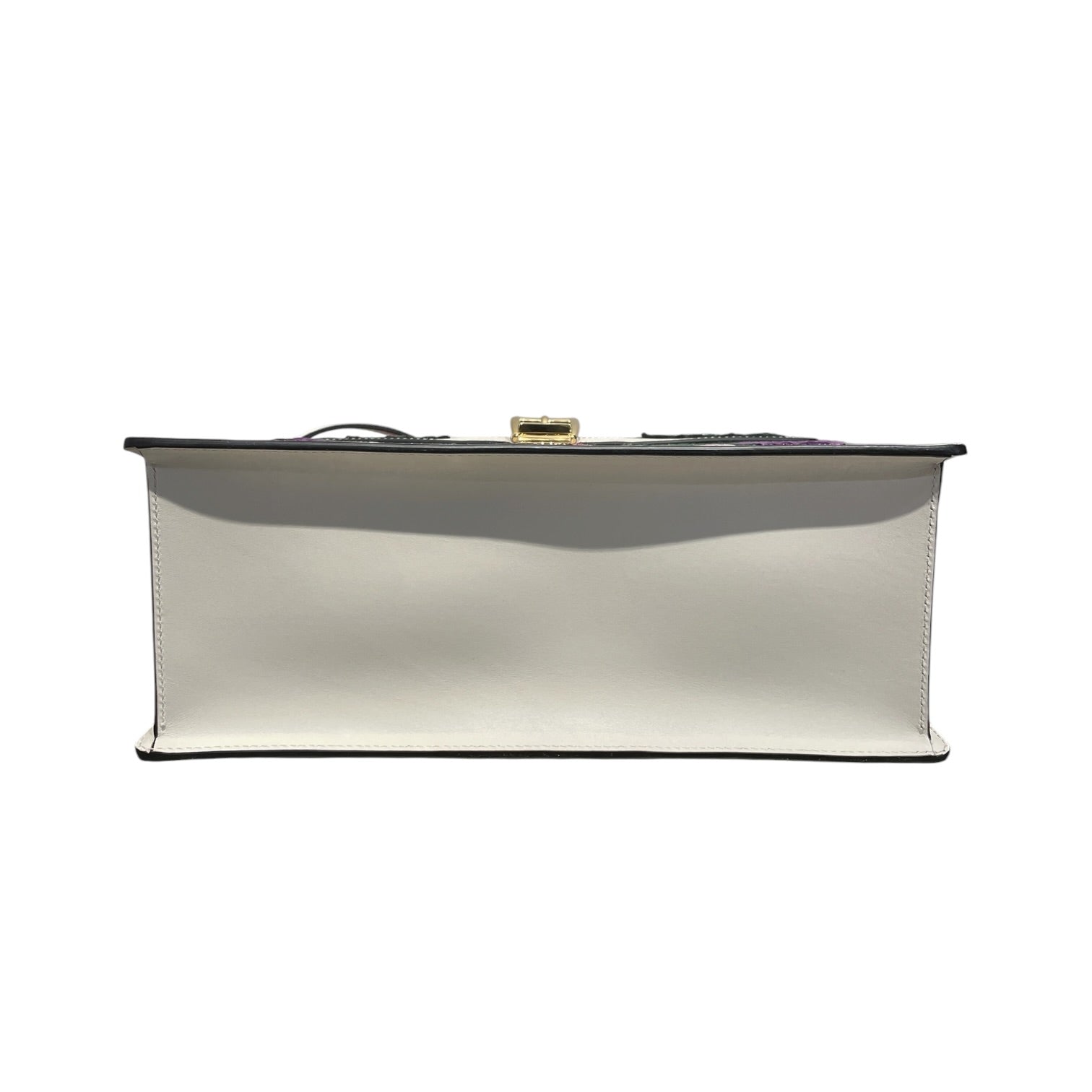 GUCCI/Cross Body Bag/Stripe/Leather/WHT/Sylvie Embroidered Medium view 5