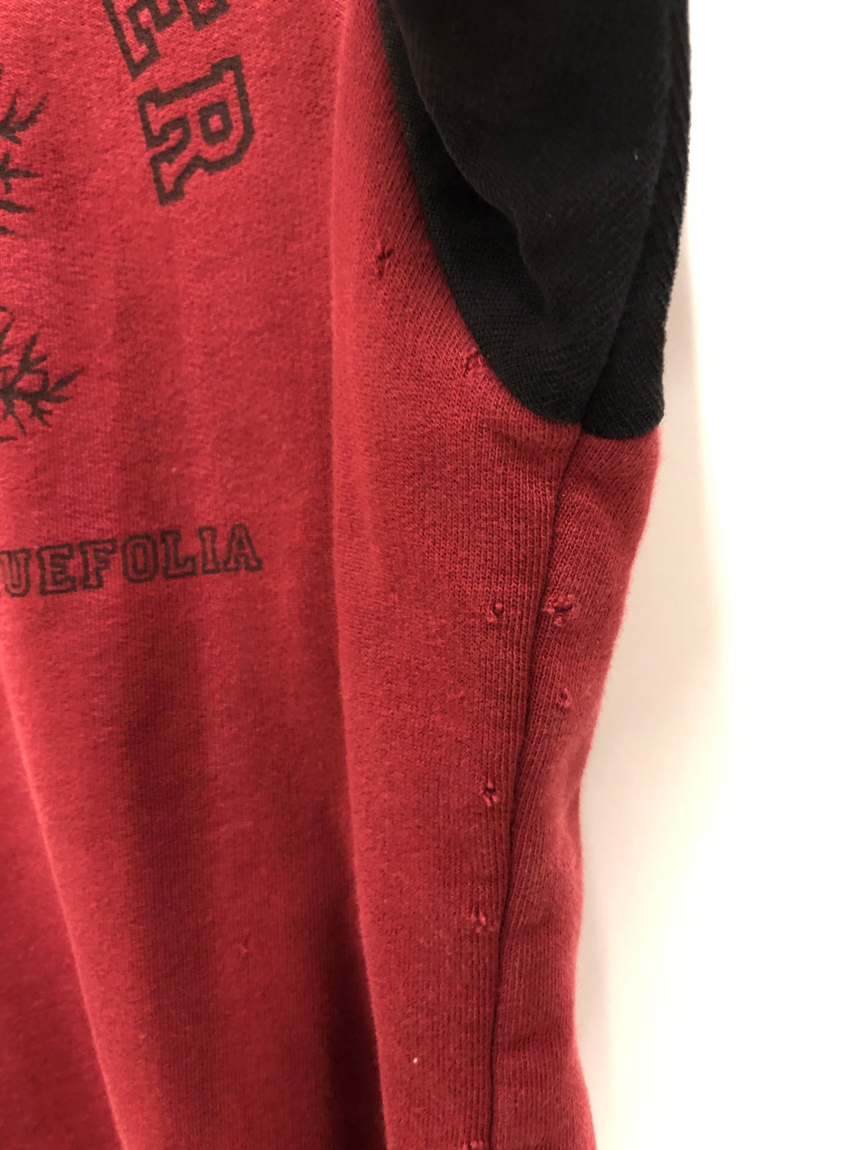RAF SIMONS/T-Shirt/S/Cotton/BRD/Graphic/VIRGINA CREEPER view 3