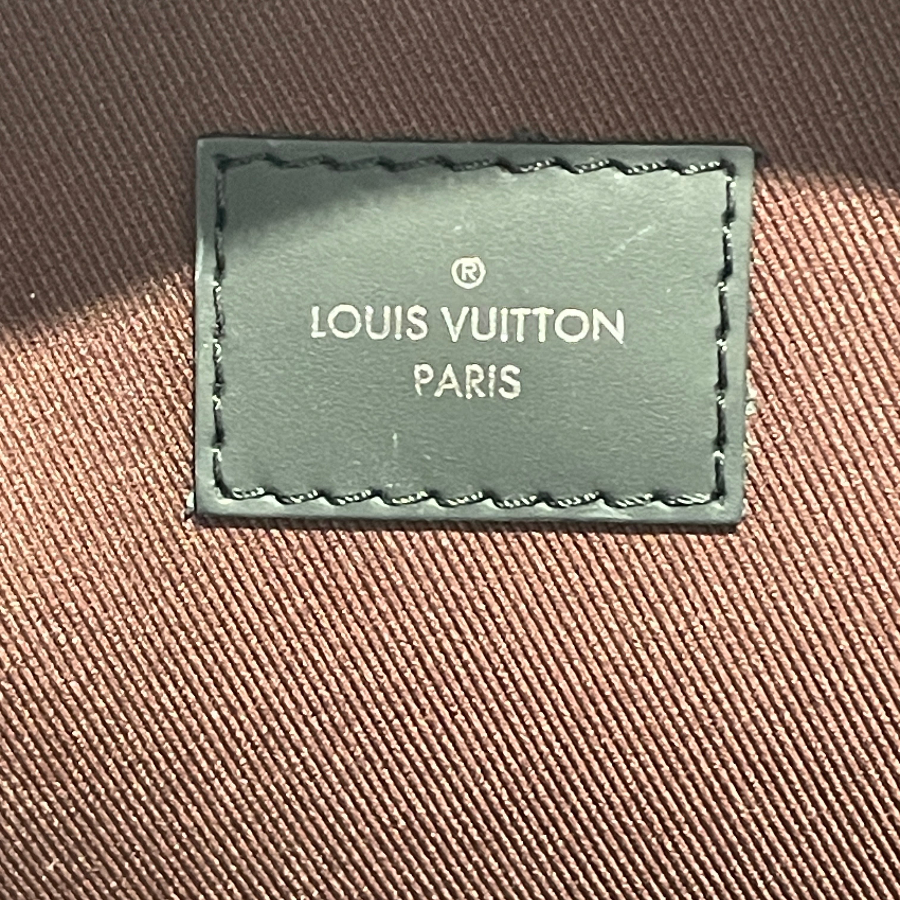 LOUIS VUITTON/Backpack/Monogram/Leather/BRW/MACASSAR JOSH view 5