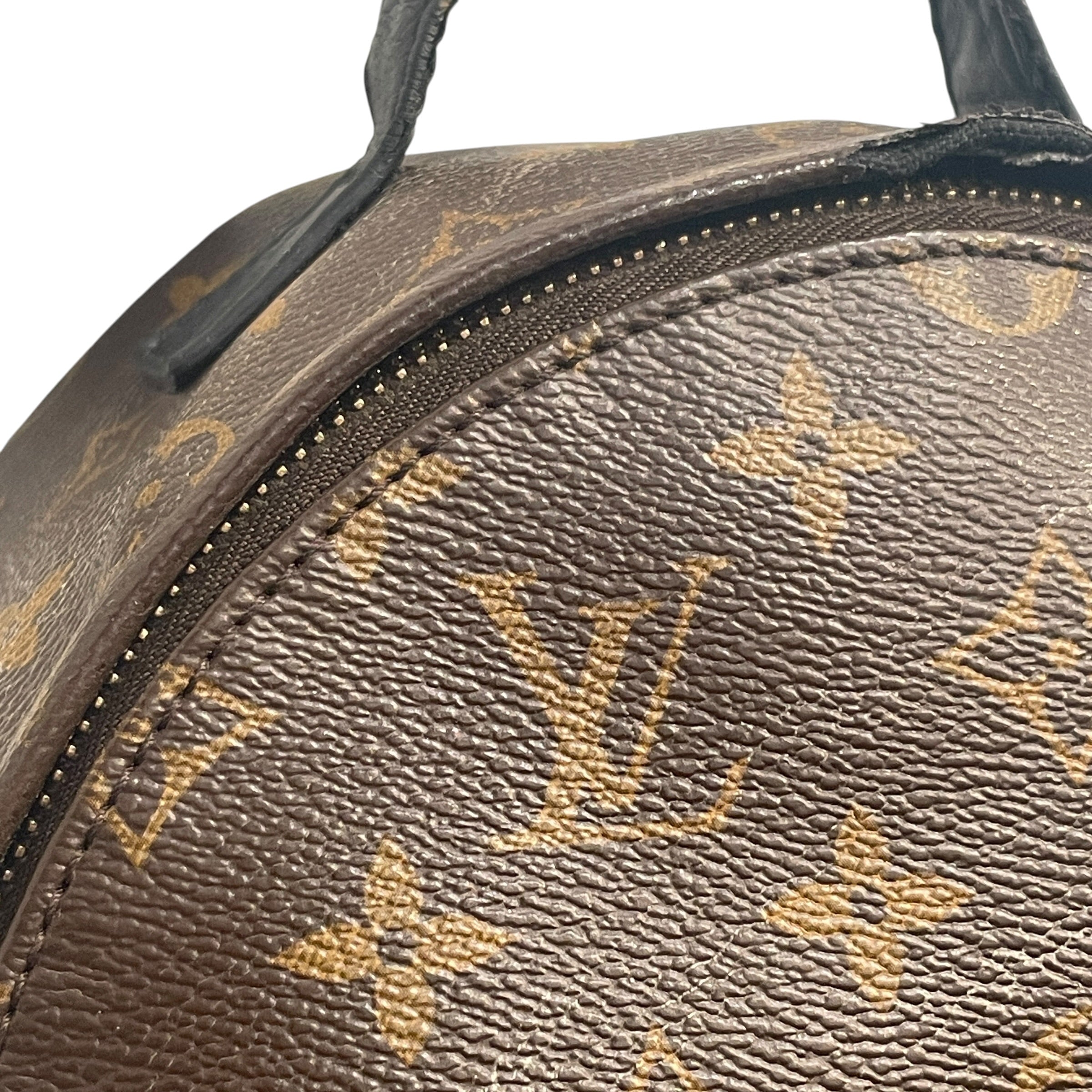 LOUIS VUITTON/Backpack/Monogram/Leather/BRW/Monogram Palm Springs view 7