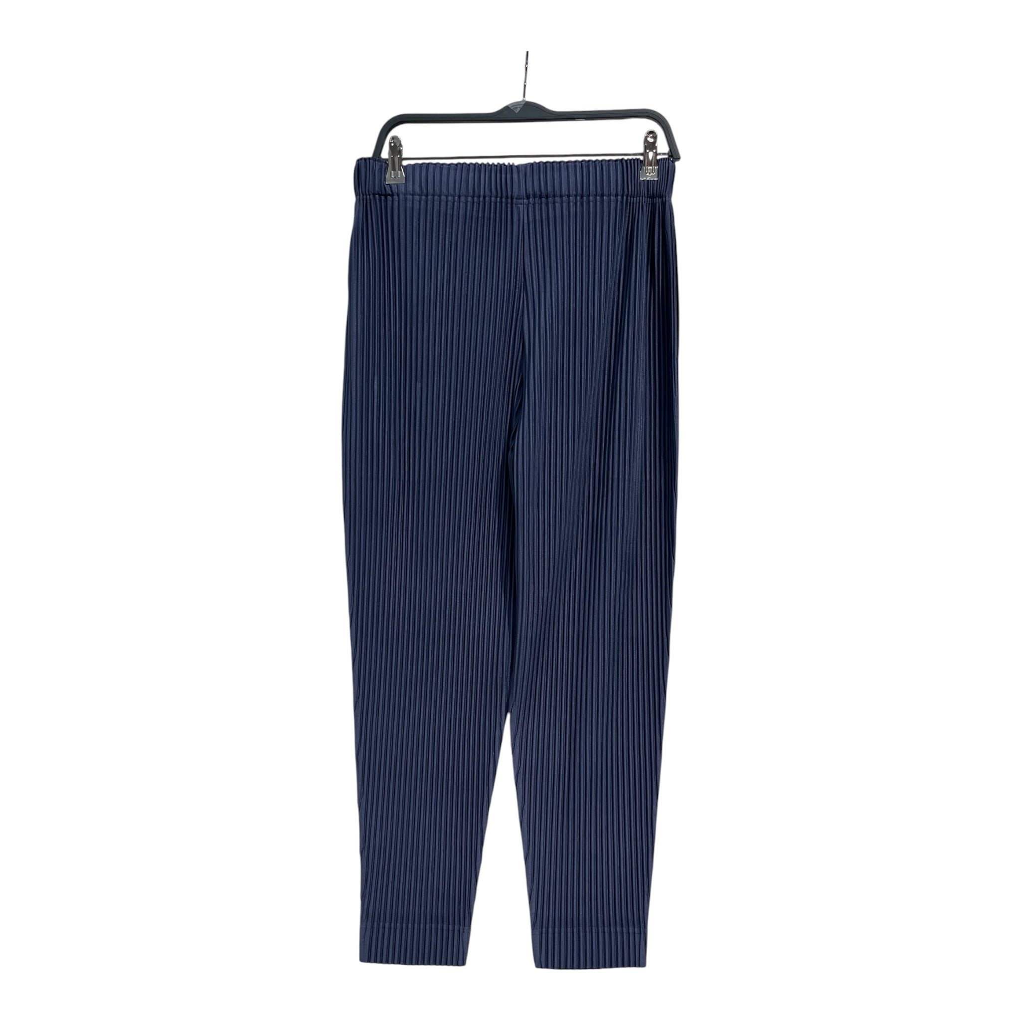 ISSEY MIYAKE/Pants/2/Polyester/IDG/pleated view 2