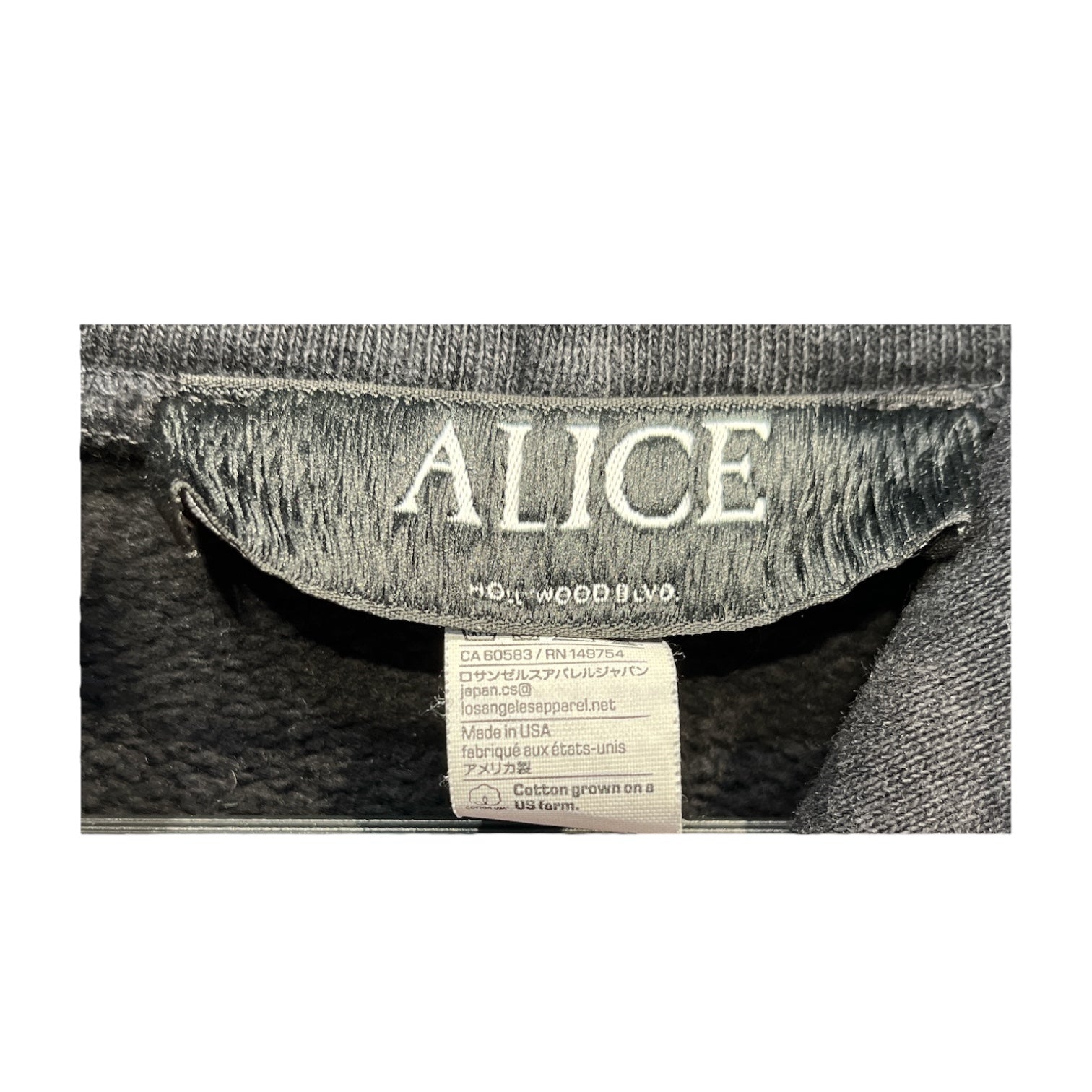 ALICE HOLLYWOOD/Hoodie/L/Cotton/BLK/hard core haute couture view 4