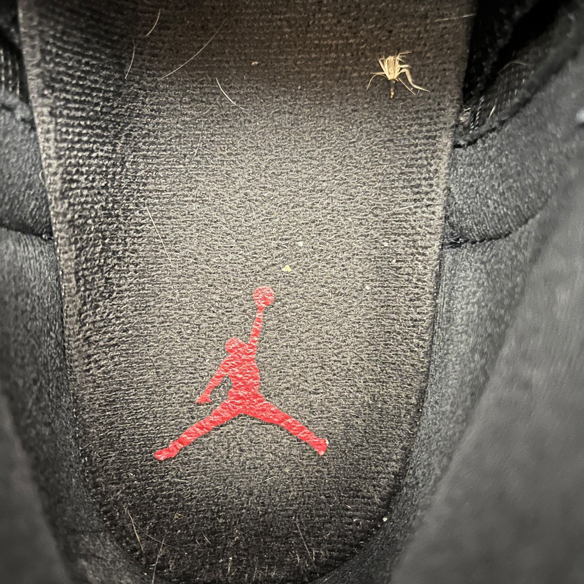 JORDAN BRAND/Hi-Sneakers/US 10.5/Leather/BLK/bred 12 view 3