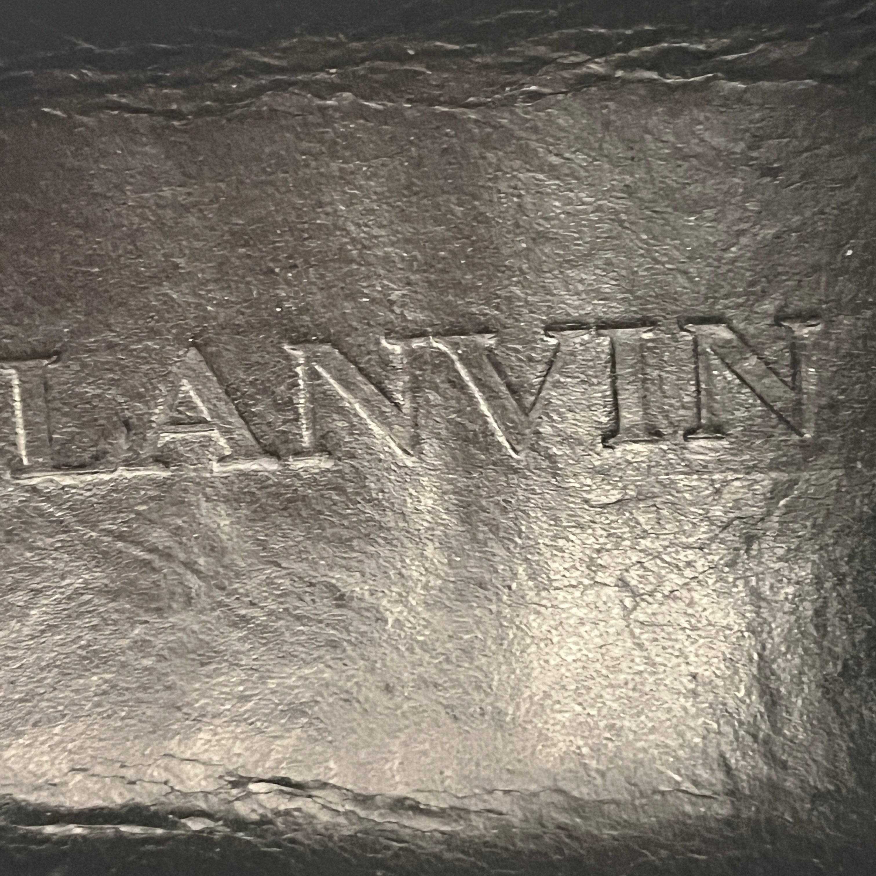 LANVIN/Low-Sneakers/EU 45/BLK/suede all over view 4