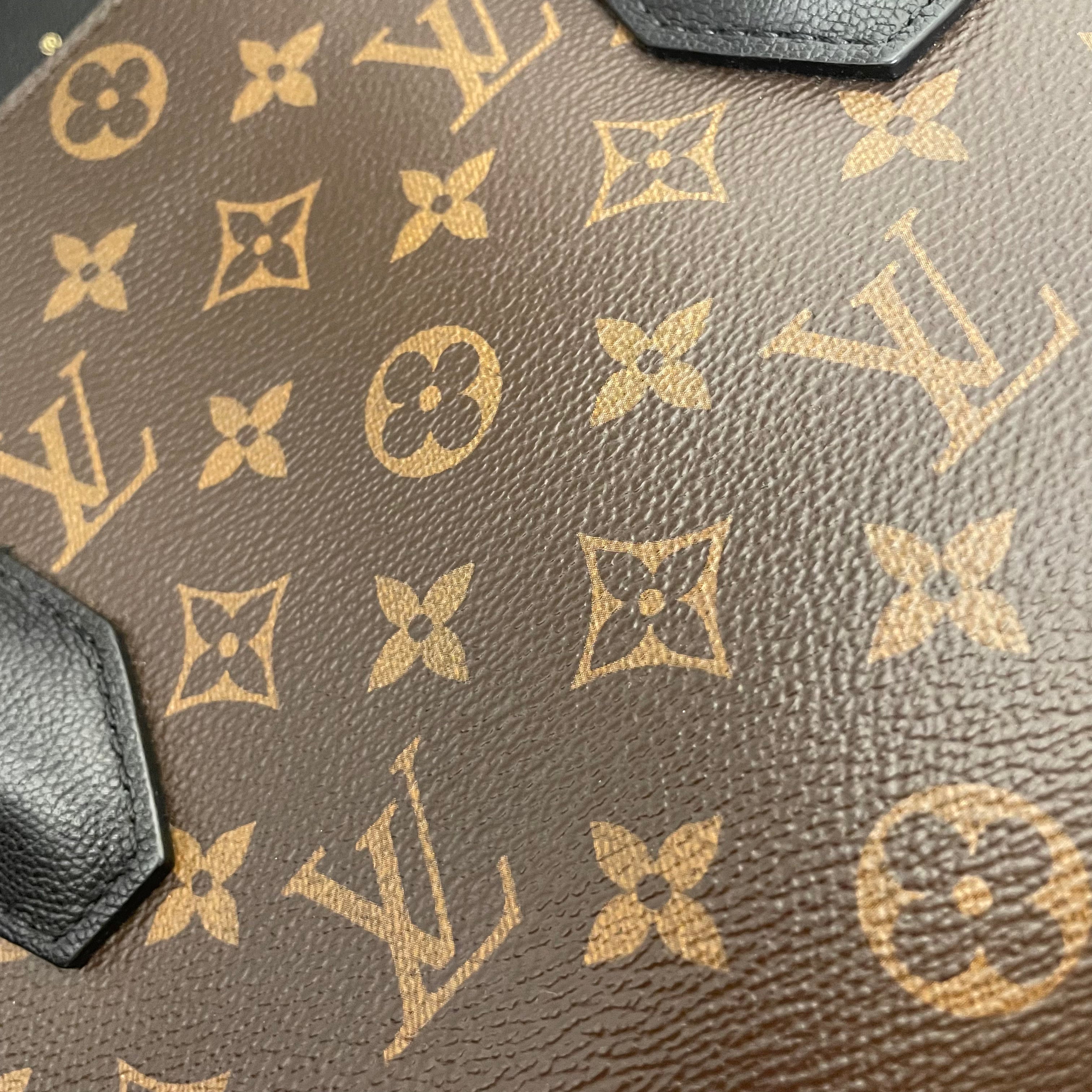 LOUIS VUITTON/Hand Bag/Monogram/Leather/BRW/FLORINE SHOULDER BAG view 4