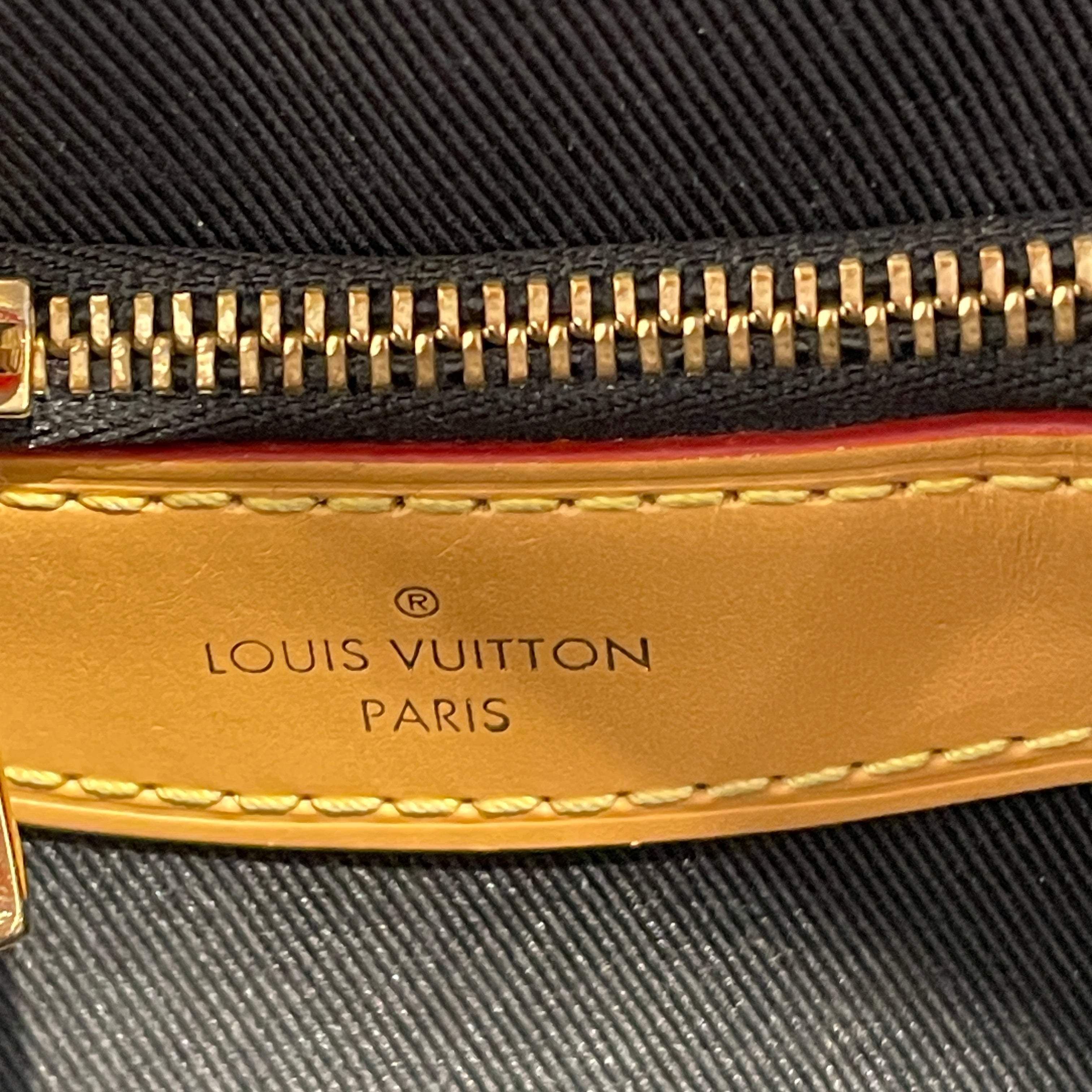 LOUIS VUITTON/Cross Body Bag/Monogram/Leather/BRW/Diane Monogram Shoulder view 5