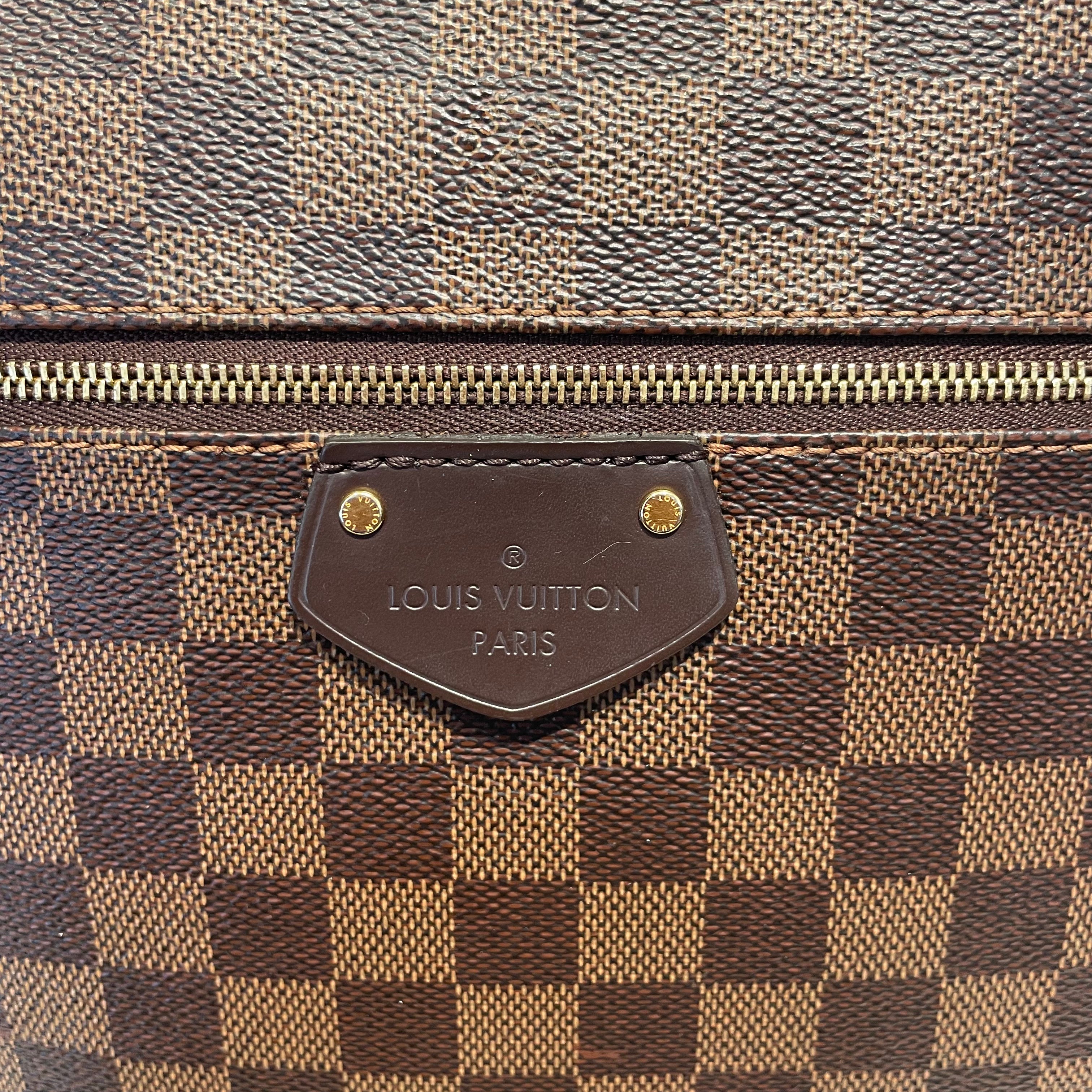 LOUIS VUITTON/Bag/All Over Print/BRW/lena MM view 5