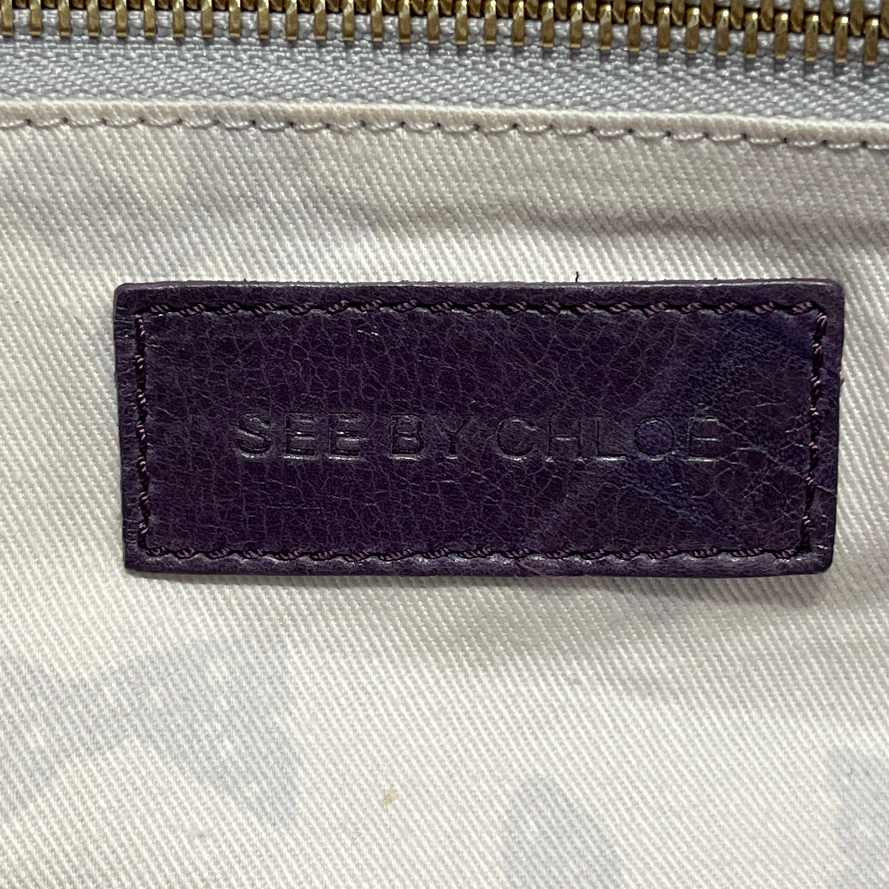 SEE BY CHLOE/Hand Bag/PPL/silver hardware little pouch view 5