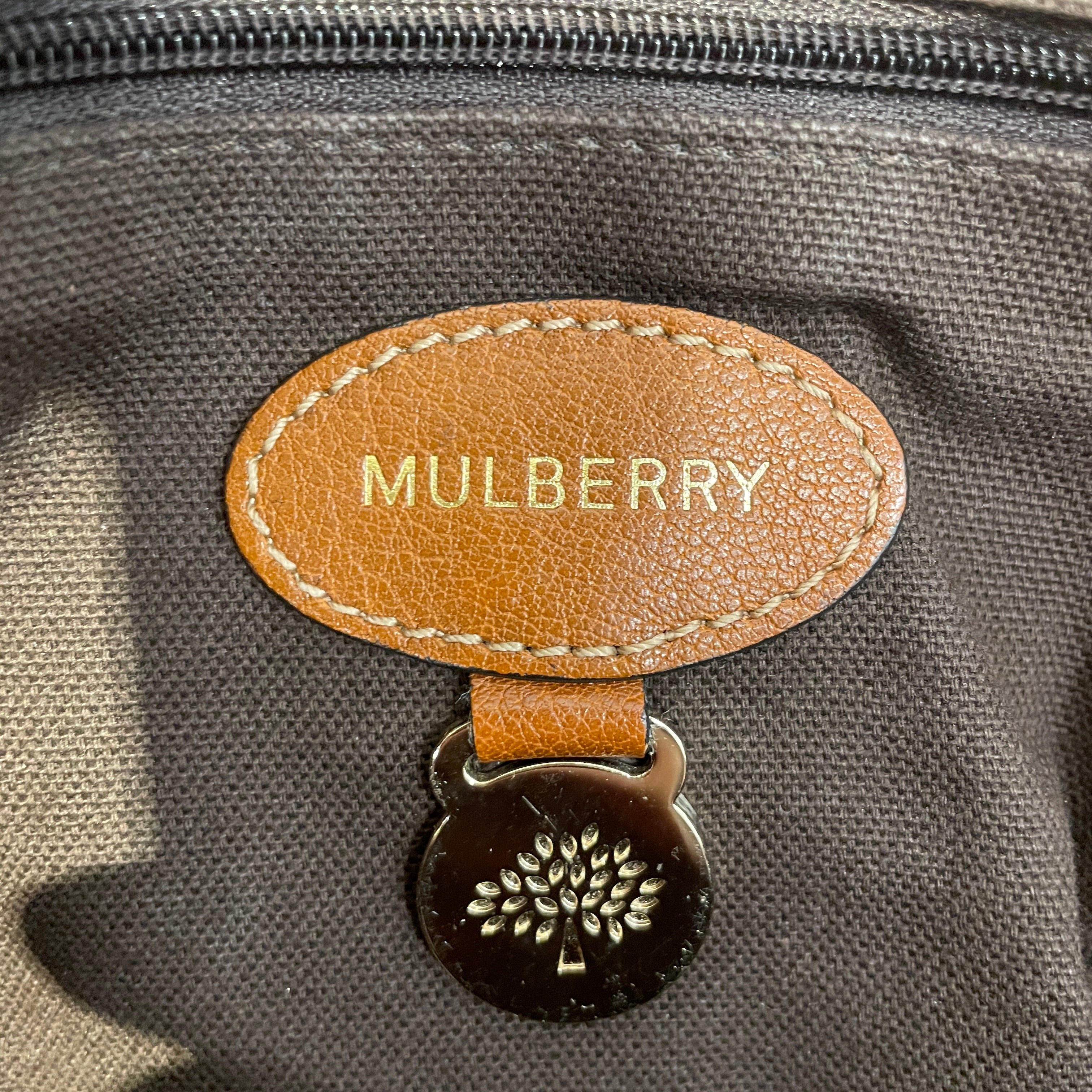 MULBERRY/Cross Body Bag/Leather/BRW/Alexa view 5