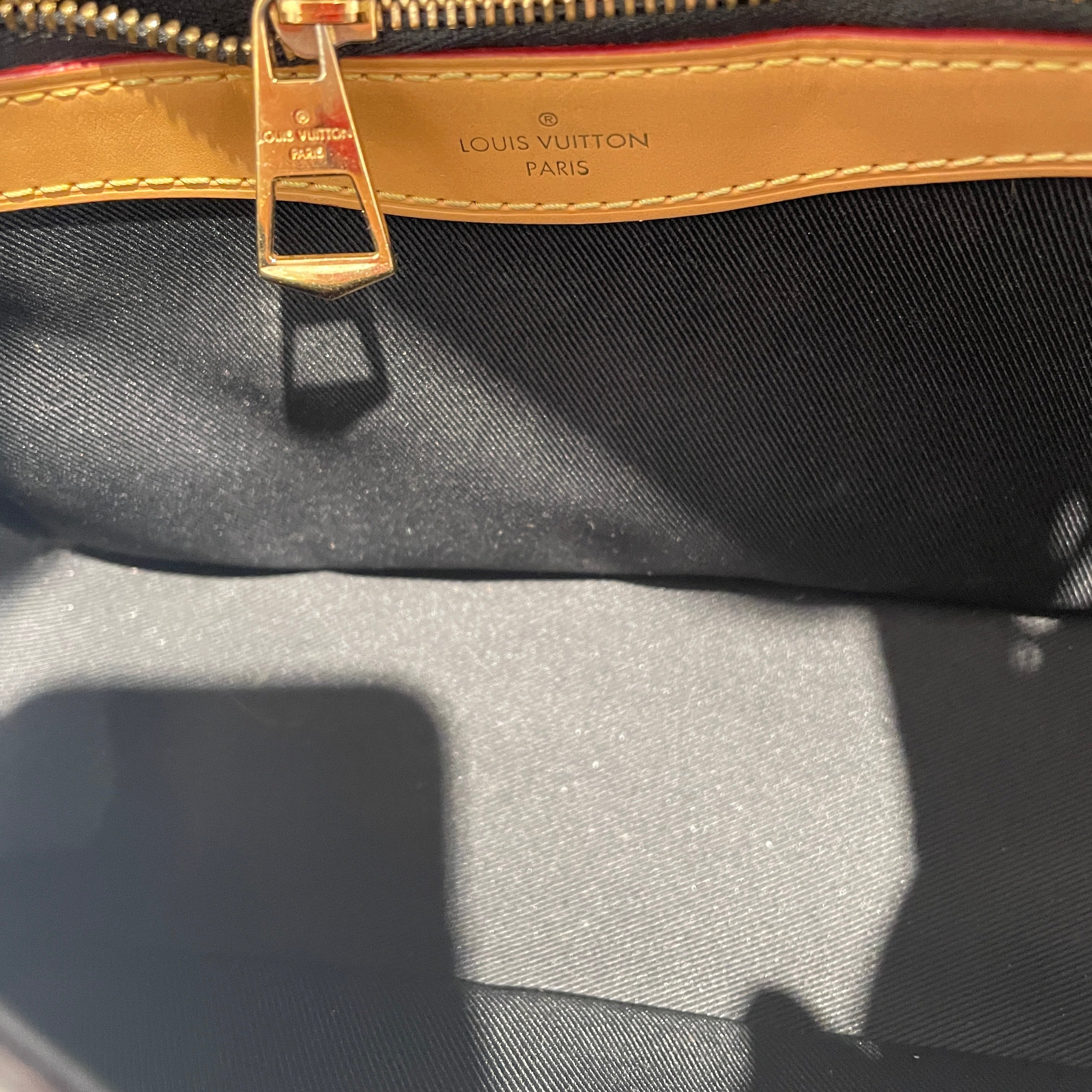 LOUIS VUITTON/Cross Body Bag/Monogram/Leather/BRW/Diane Monogram Shoulder view 4