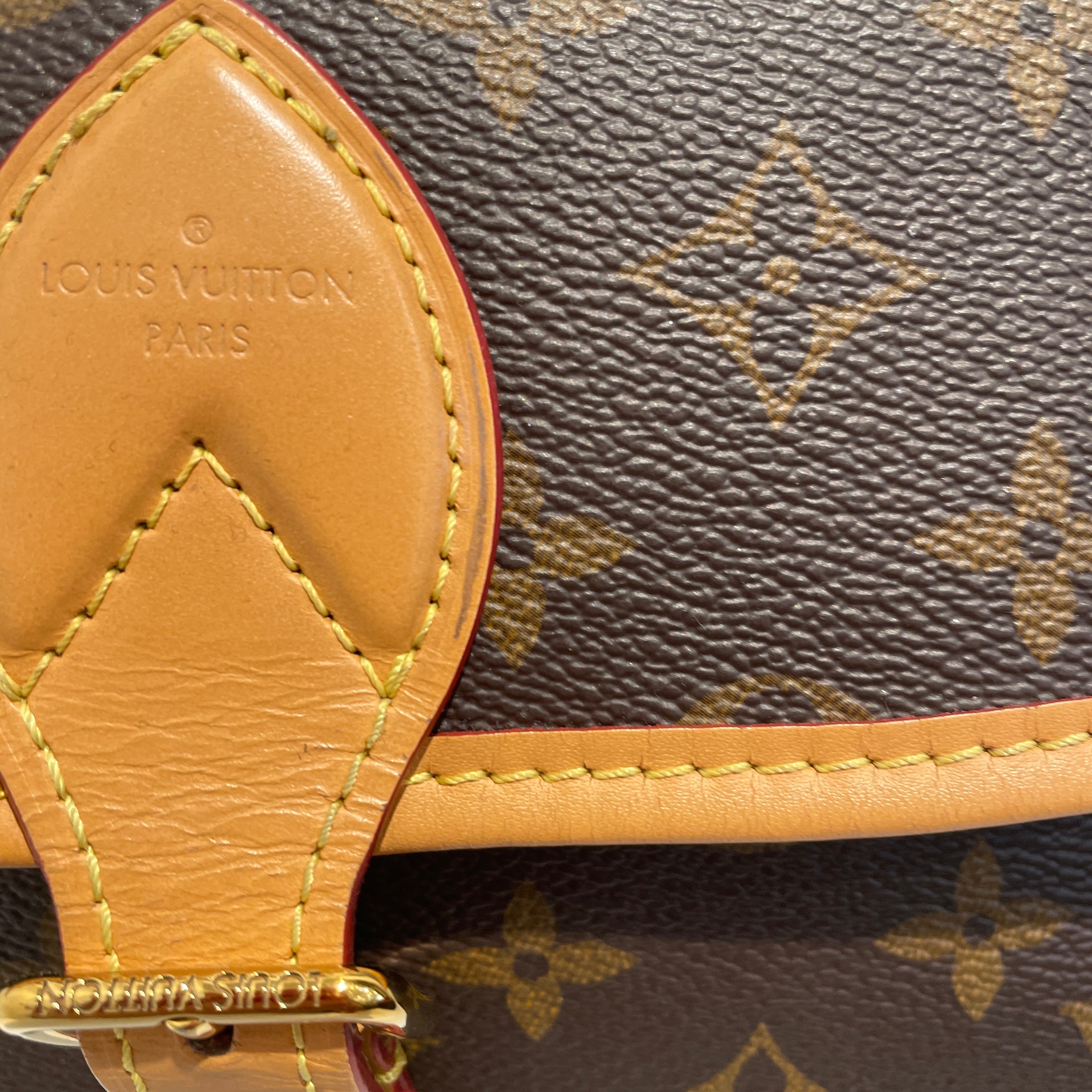 LOUIS VUITTON/Cross Body Bag/Monogram/Leather/BRW/Diane Monogram Shoulder view 6