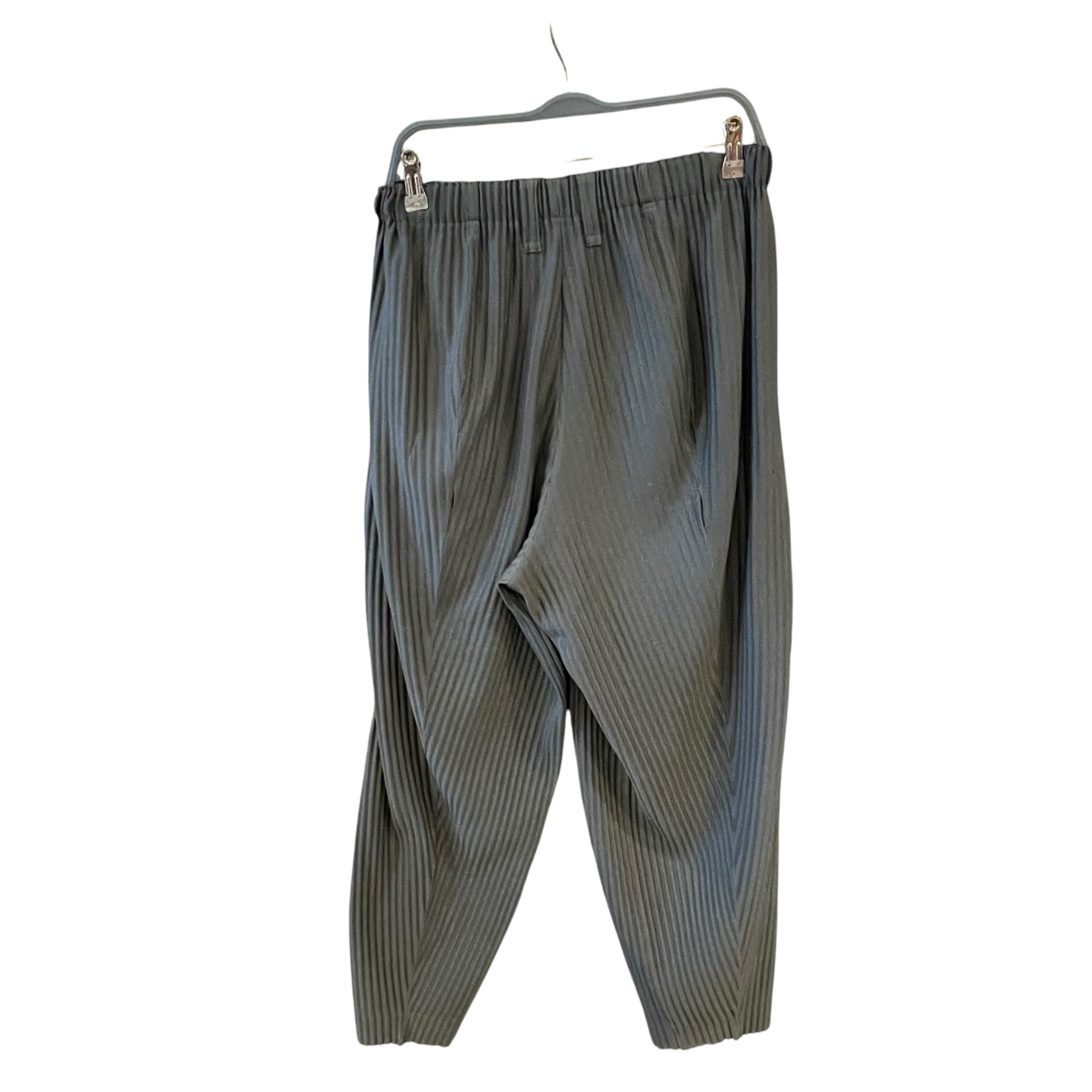 ISSEY MIYAKE/Pants/2/Nylon/BLK/Pleated Plants view 2
