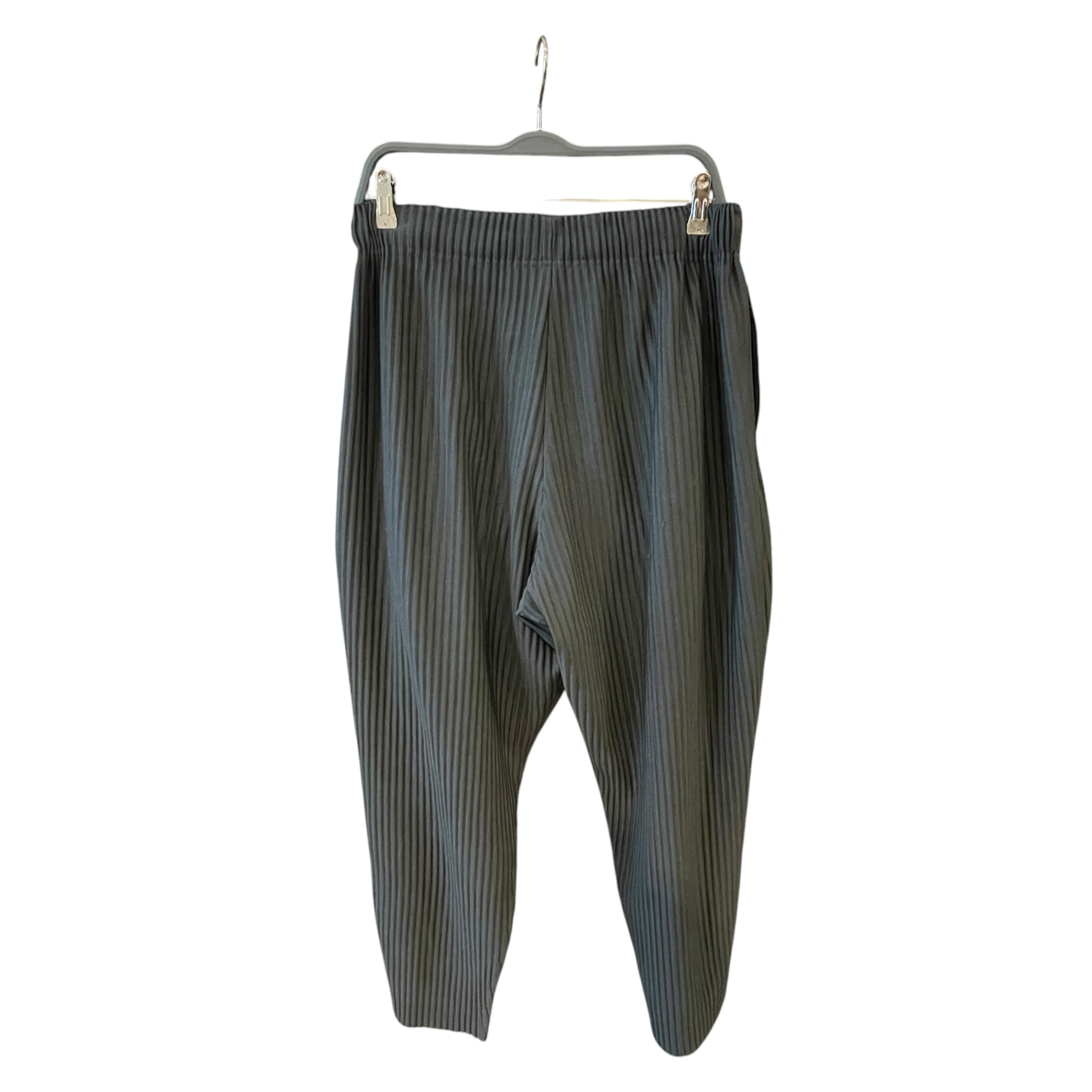 ISSEY MIYAKE/Pants/S/Nylon/BLK/Pleated Plants view 2