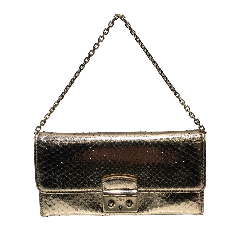 Christian Dior/Hand Bag/SLV/Promenade Python