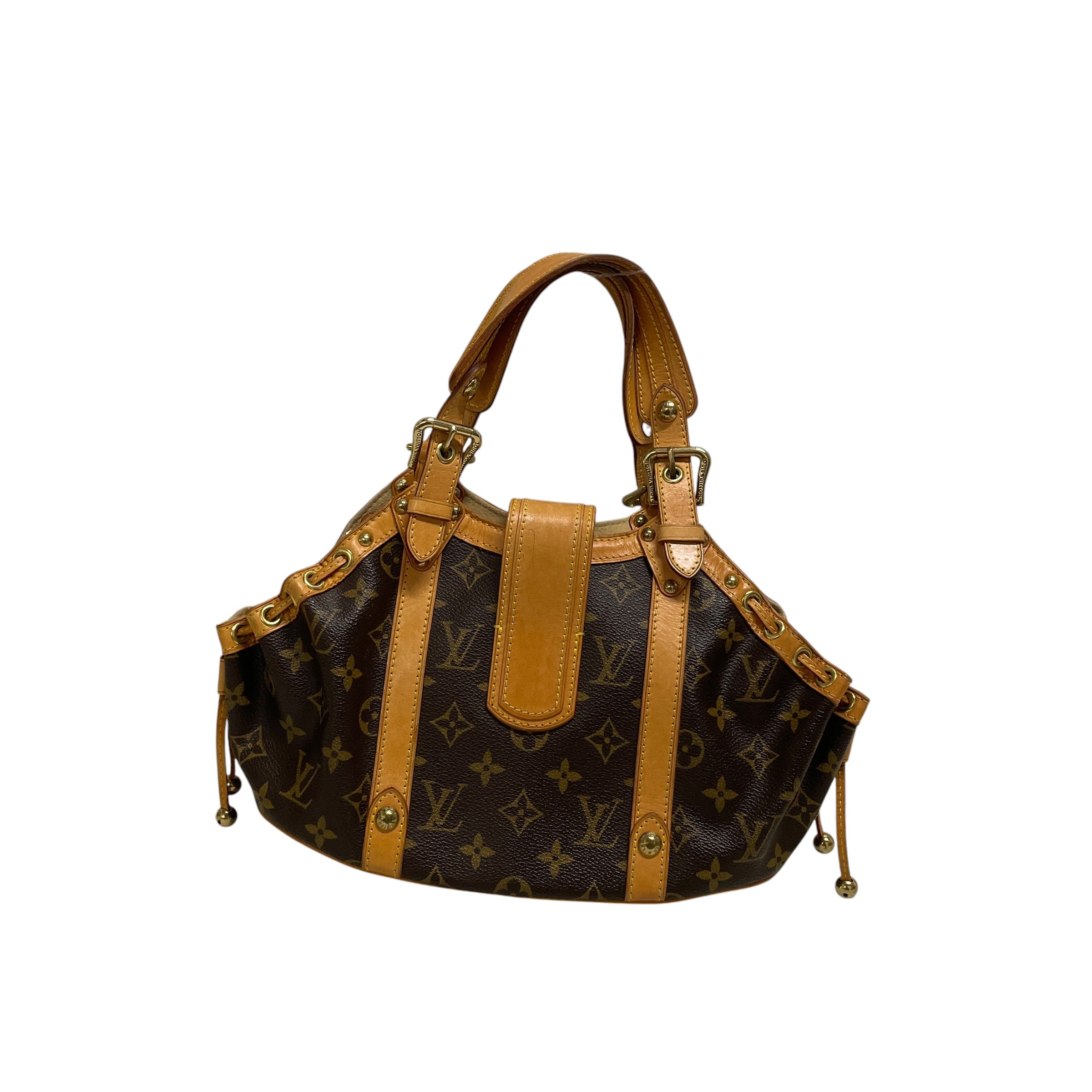 LOUIS VUITTON/Bag/Leather/BRW/belt buckle view 2