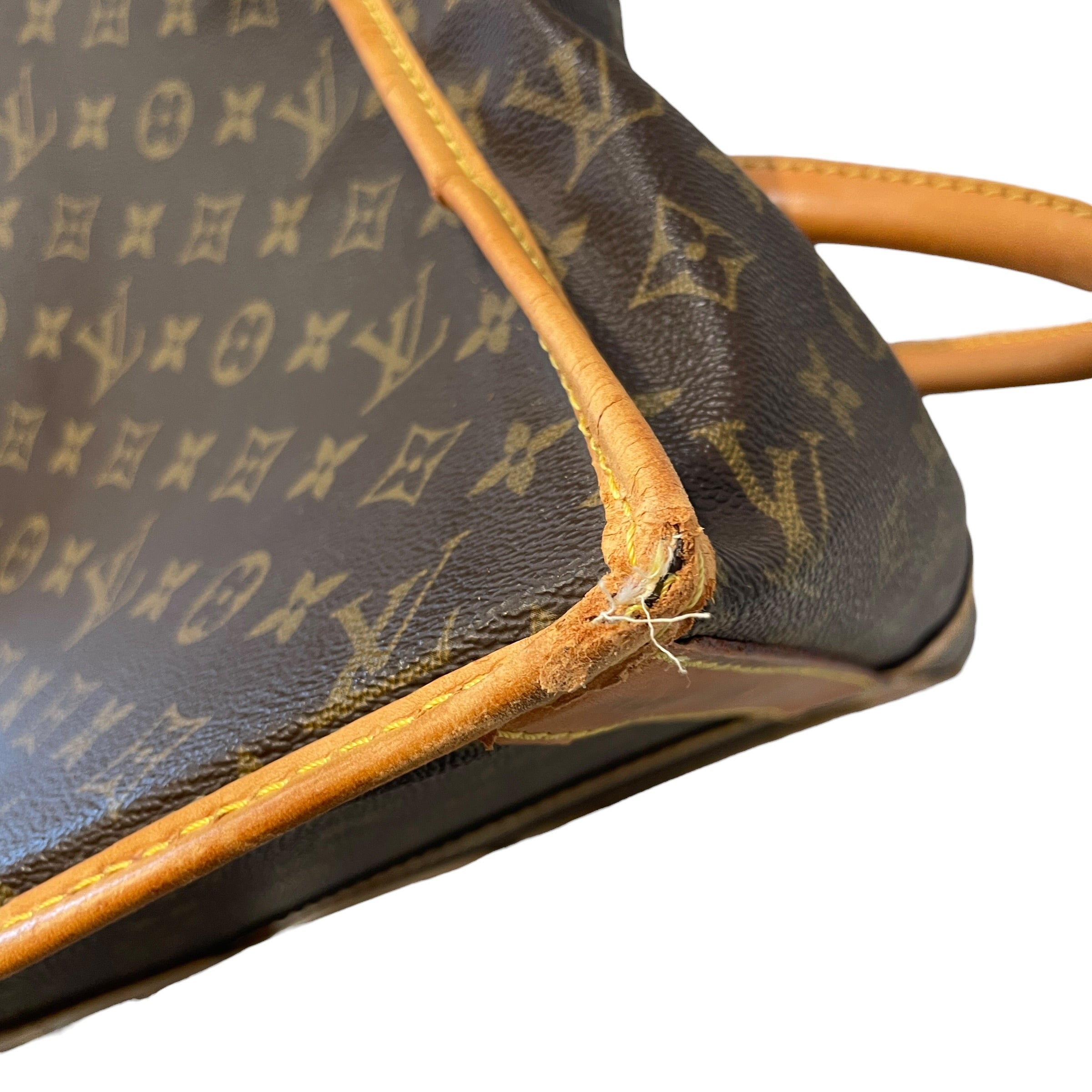 LOUIS VUITTON/Luggage/All Over Print/Leather/BRW/Sac Chein 50 Dog Carrier view 11