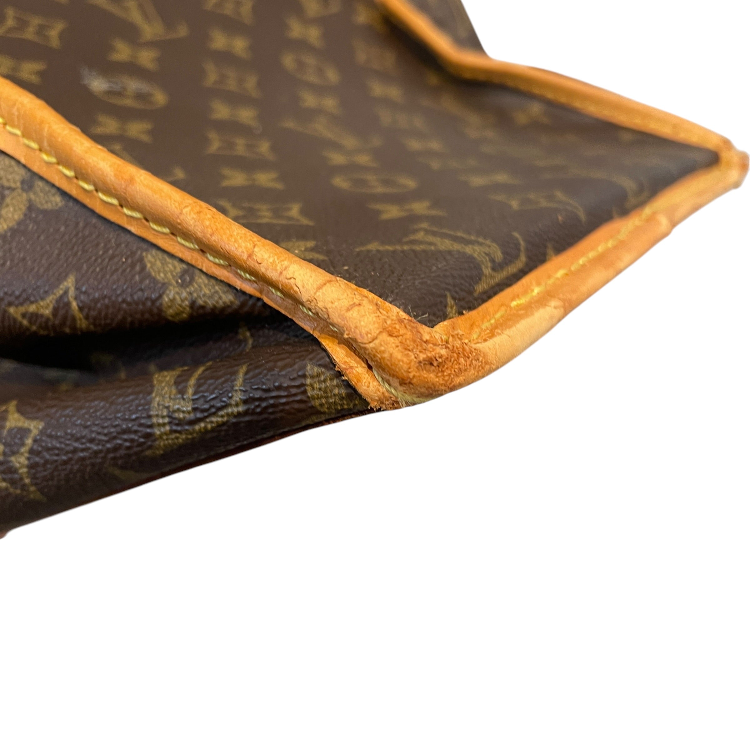 LOUIS VUITTON/Luggage/All Over Print/Leather/BRW/Sac Chein 50 Dog Carrier view 10