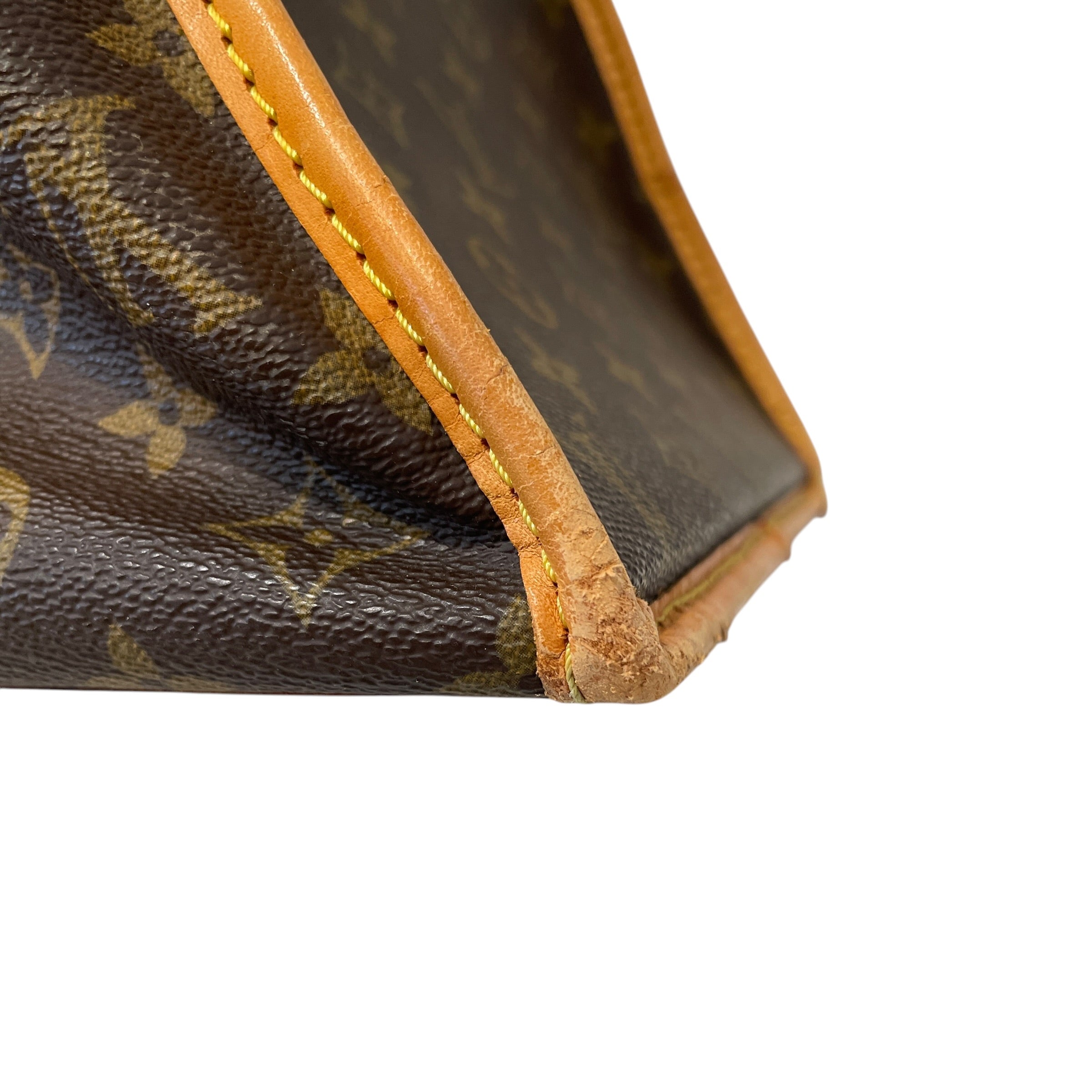 LOUIS VUITTON/Luggage/All Over Print/Leather/BRW/Sac Chein 50 Dog Carrier view 8