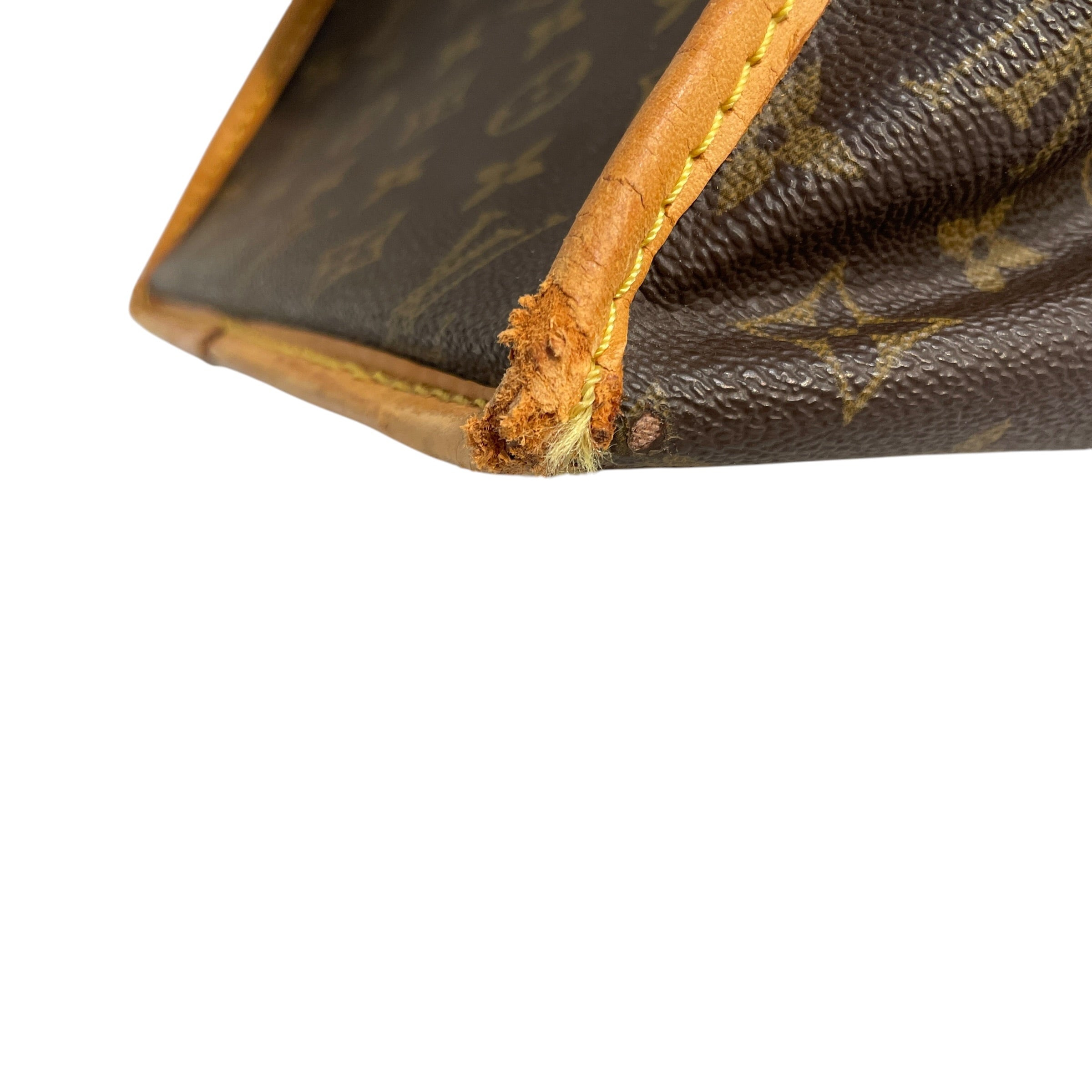 LOUIS VUITTON/Luggage/All Over Print/Leather/BRW/Sac Chein 50 Dog Carrier view 7
