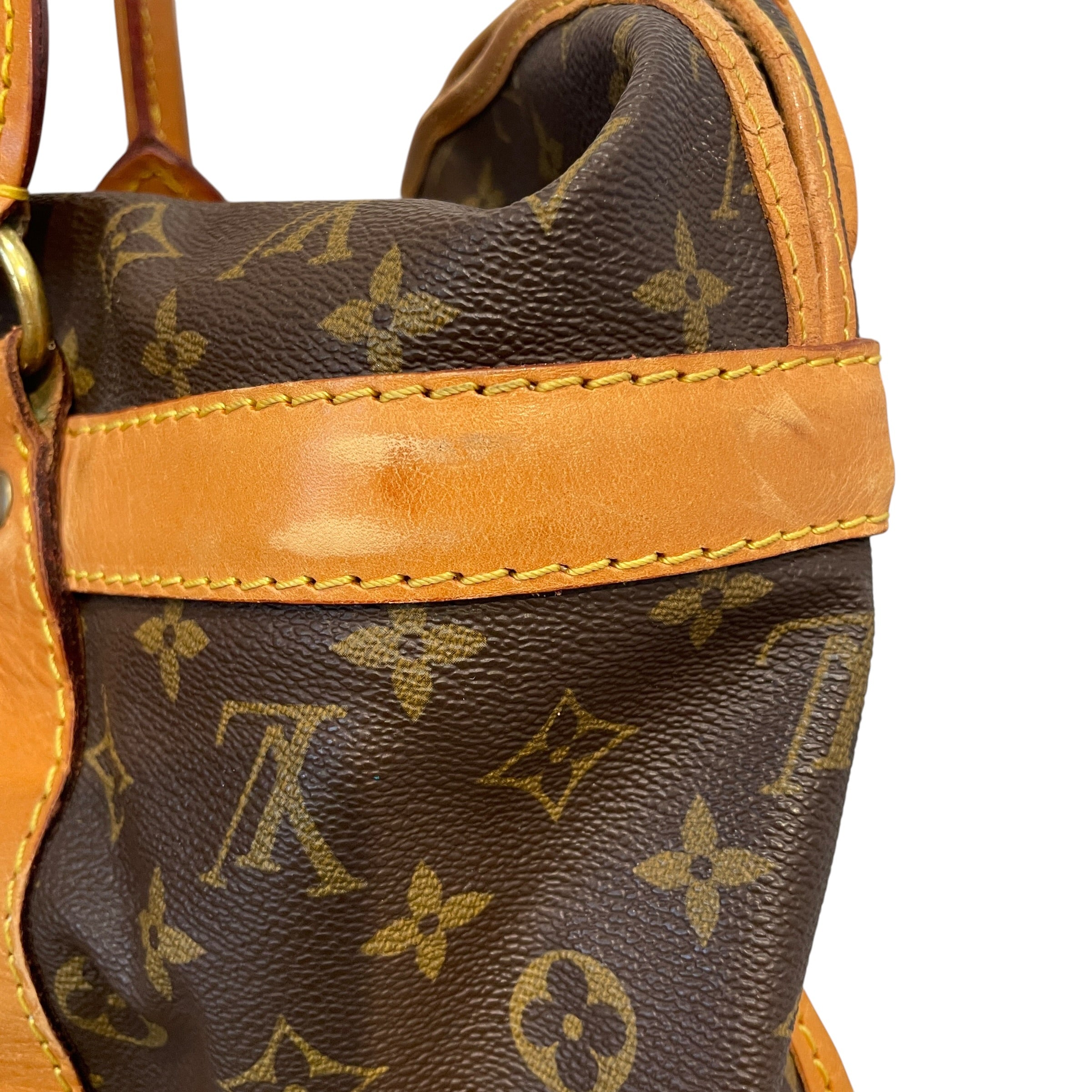 LOUIS VUITTON/Luggage/All Over Print/Leather/BRW/Sac Chein 50 Dog Carrier view 4