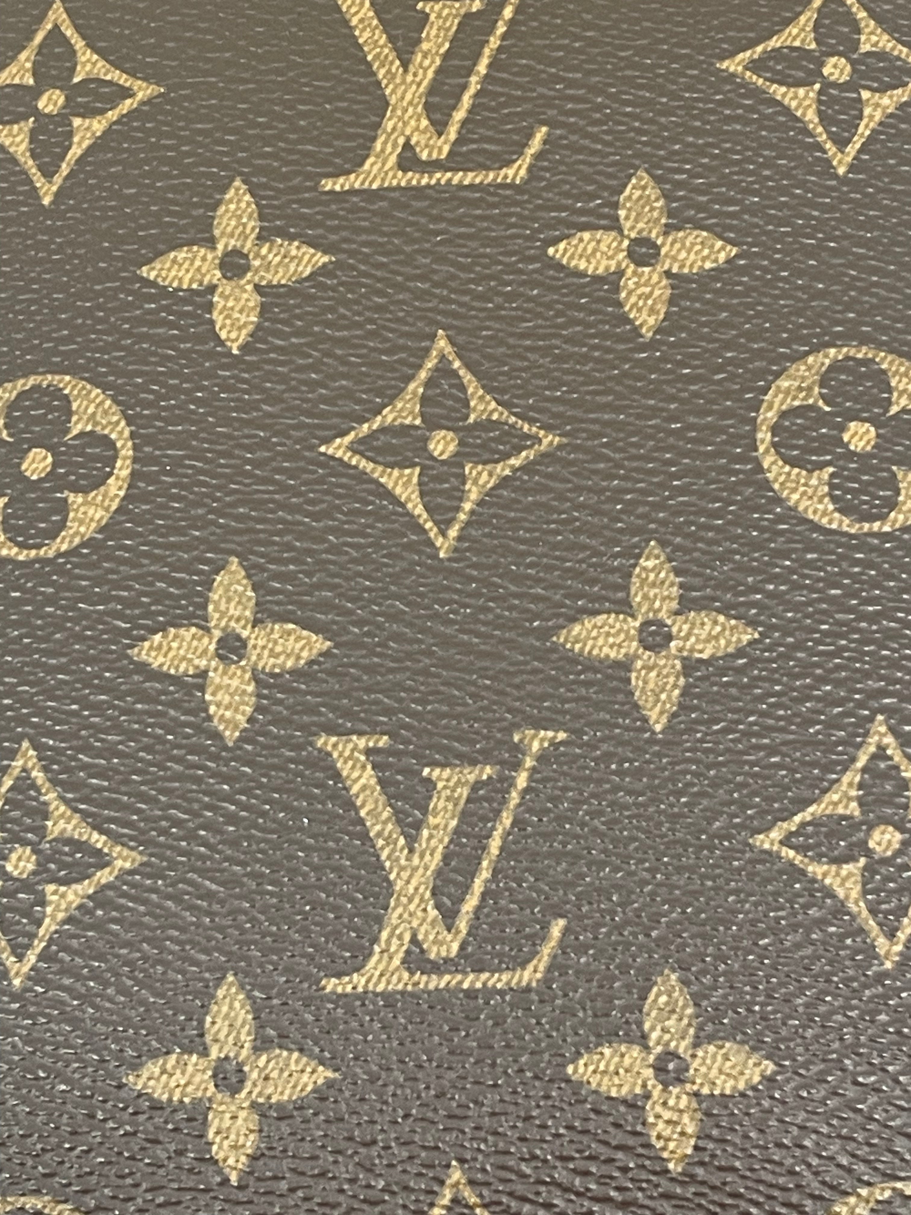 LOUIS VUITTON/Pouch/Monogram/Leather/BRW/sil hard/pochette voyage MM view 3