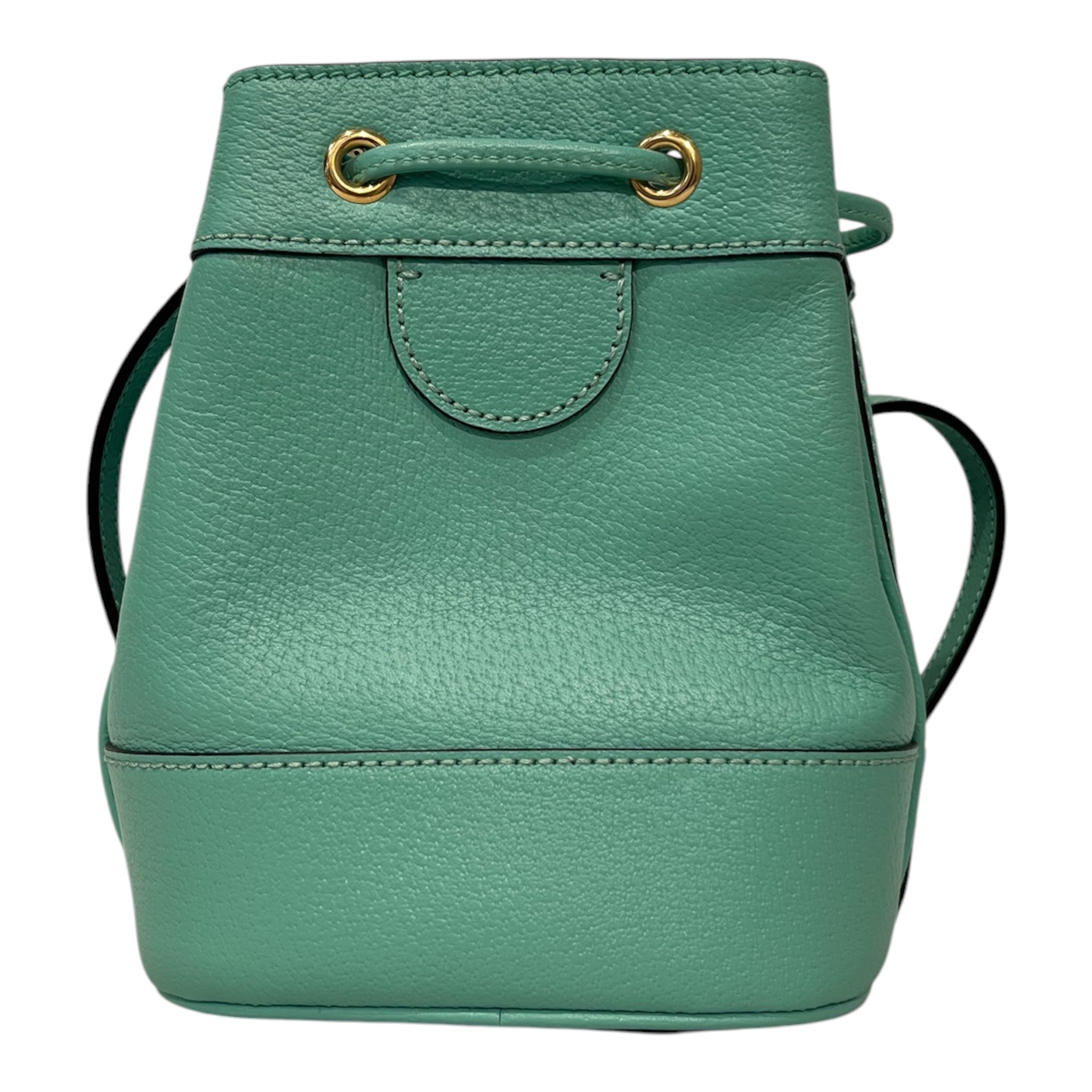GUCCI/Cross Body Bag/Leather/GRN/550620 MINT BUCKET BAG/GLD GG view 2