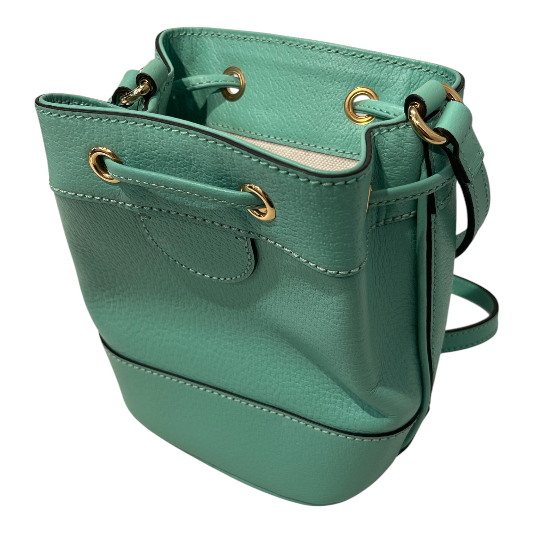 GUCCI/Cross Body Bag/Leather/GRN/550620 MINT BUCKET BAG/GLD GG view 4