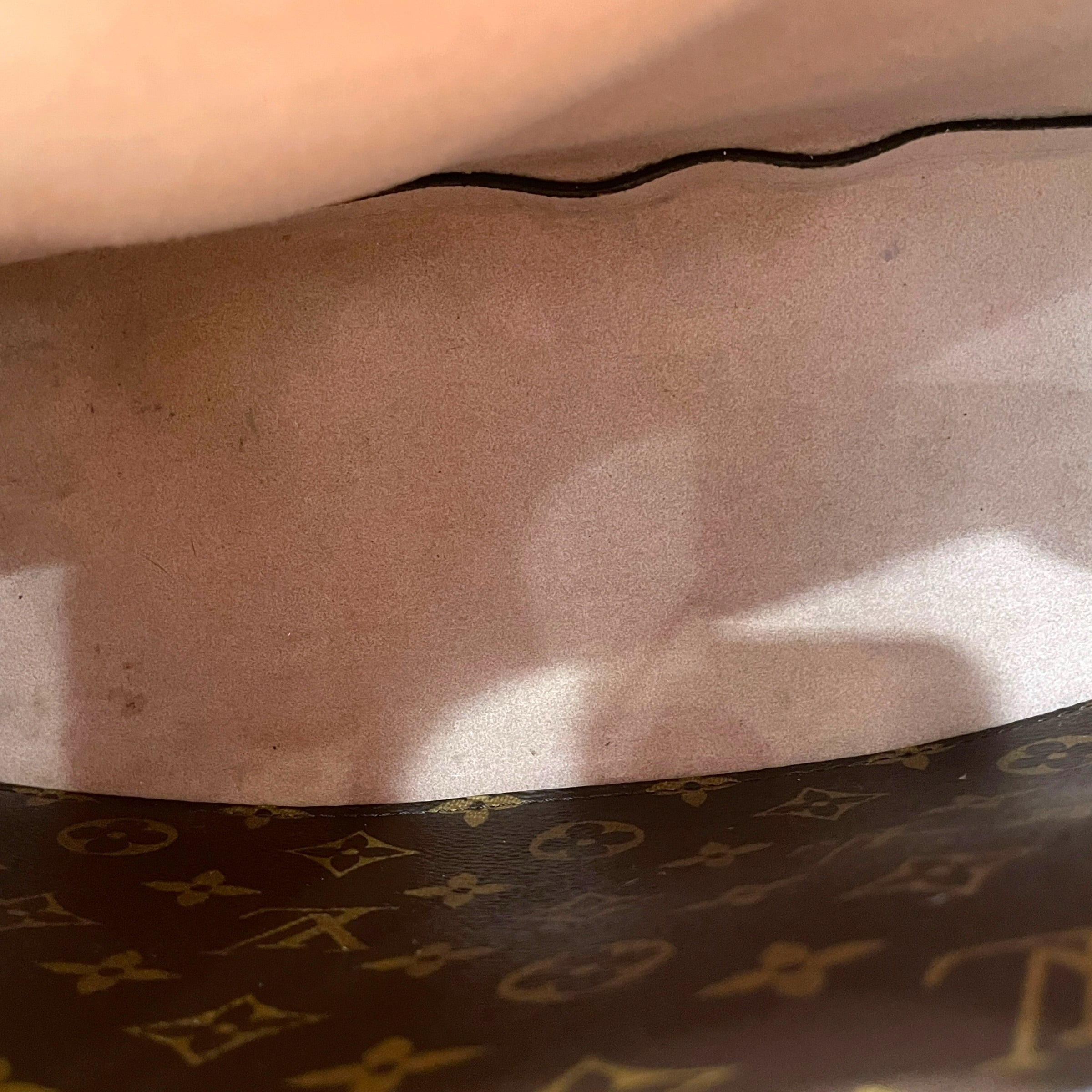LOUIS VUITTON/Hand Bag/Monogram/Leather/BRW/Neonoe MM view 8