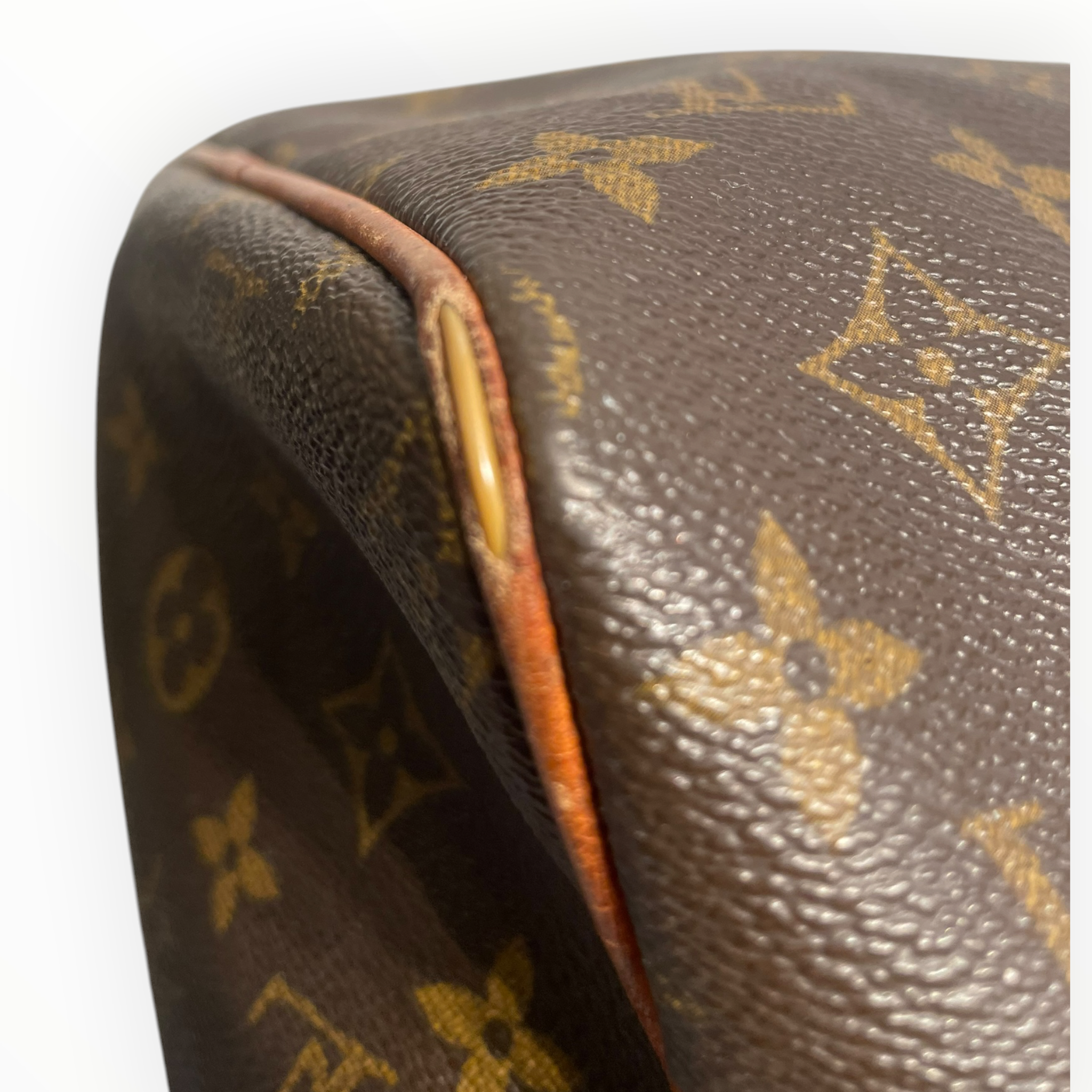 LOUIS VUITTON/Bag/Monogram/BRW/SPEEDY MONOGRAM W/ STRAP view 8