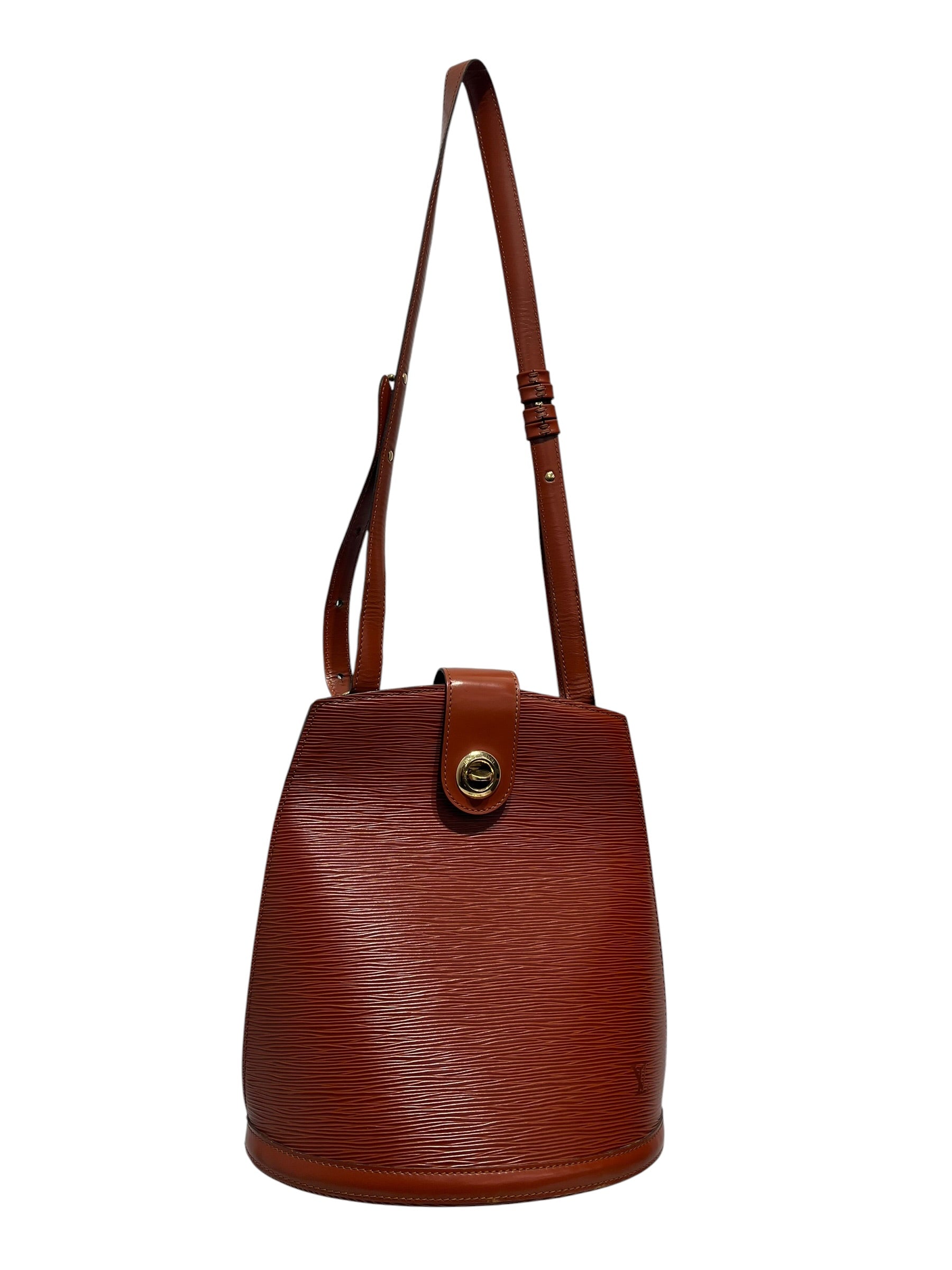 LOUIS VUITTON/Bag/Leather/ORN/Cluny view 1