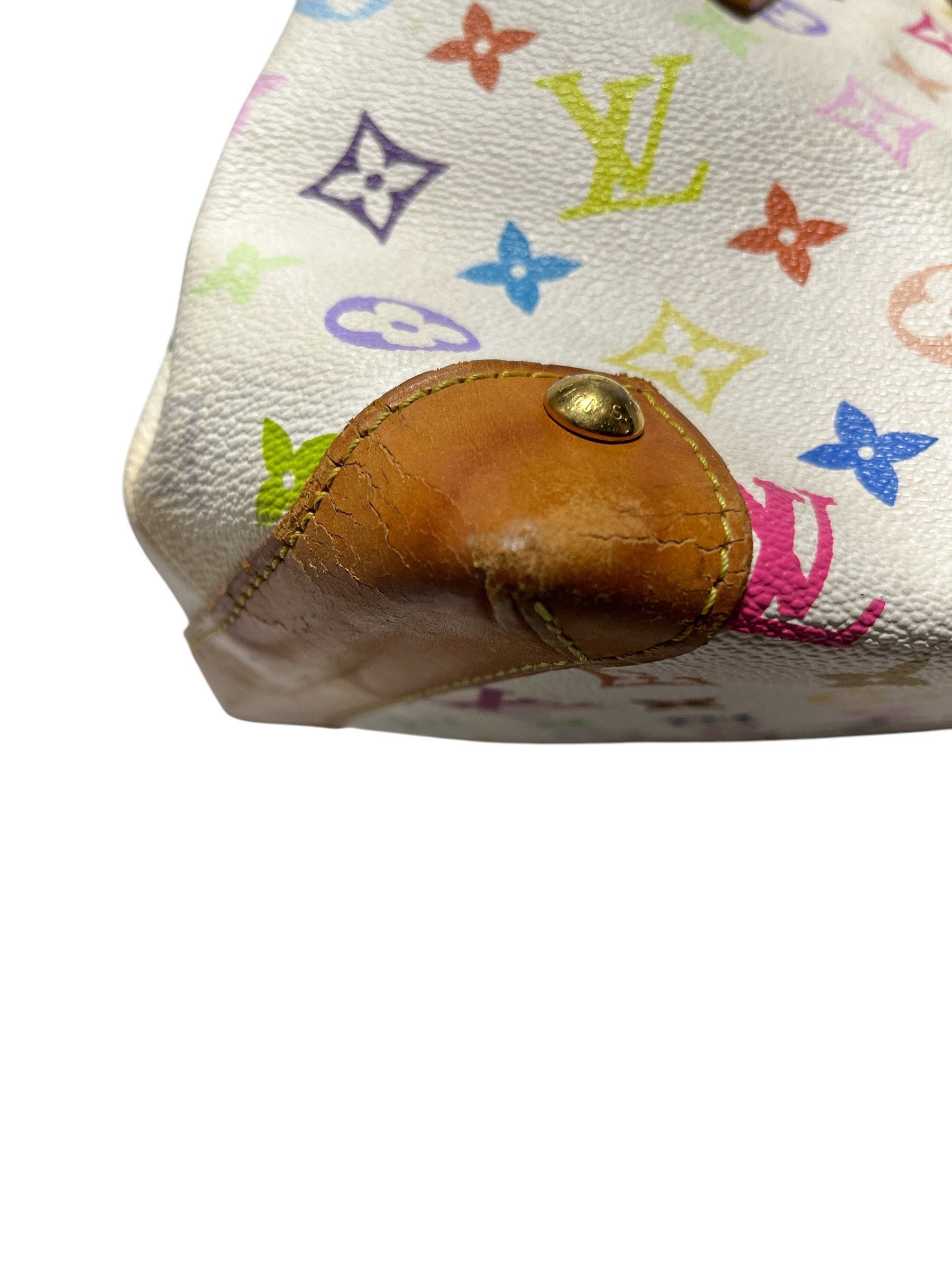 LOUIS VUITTON/Tote Bag/Monogram/Leather/MLT/LVxTAKASHI MURAKAMI AUDRA view 9