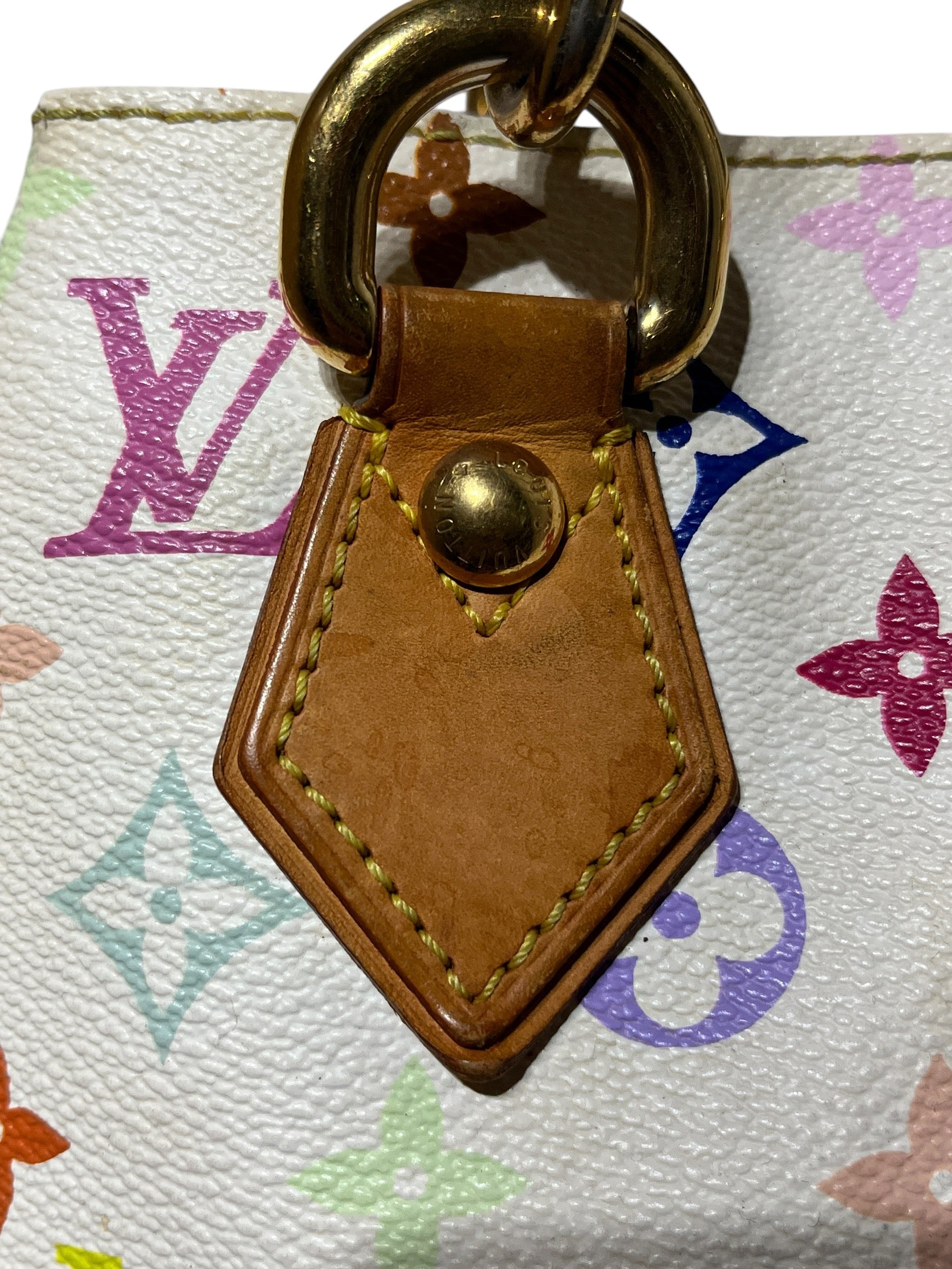 LOUIS VUITTON/Tote Bag/Monogram/Leather/MLT/LVxTAKASHI MURAKAMI AUDRA view 8