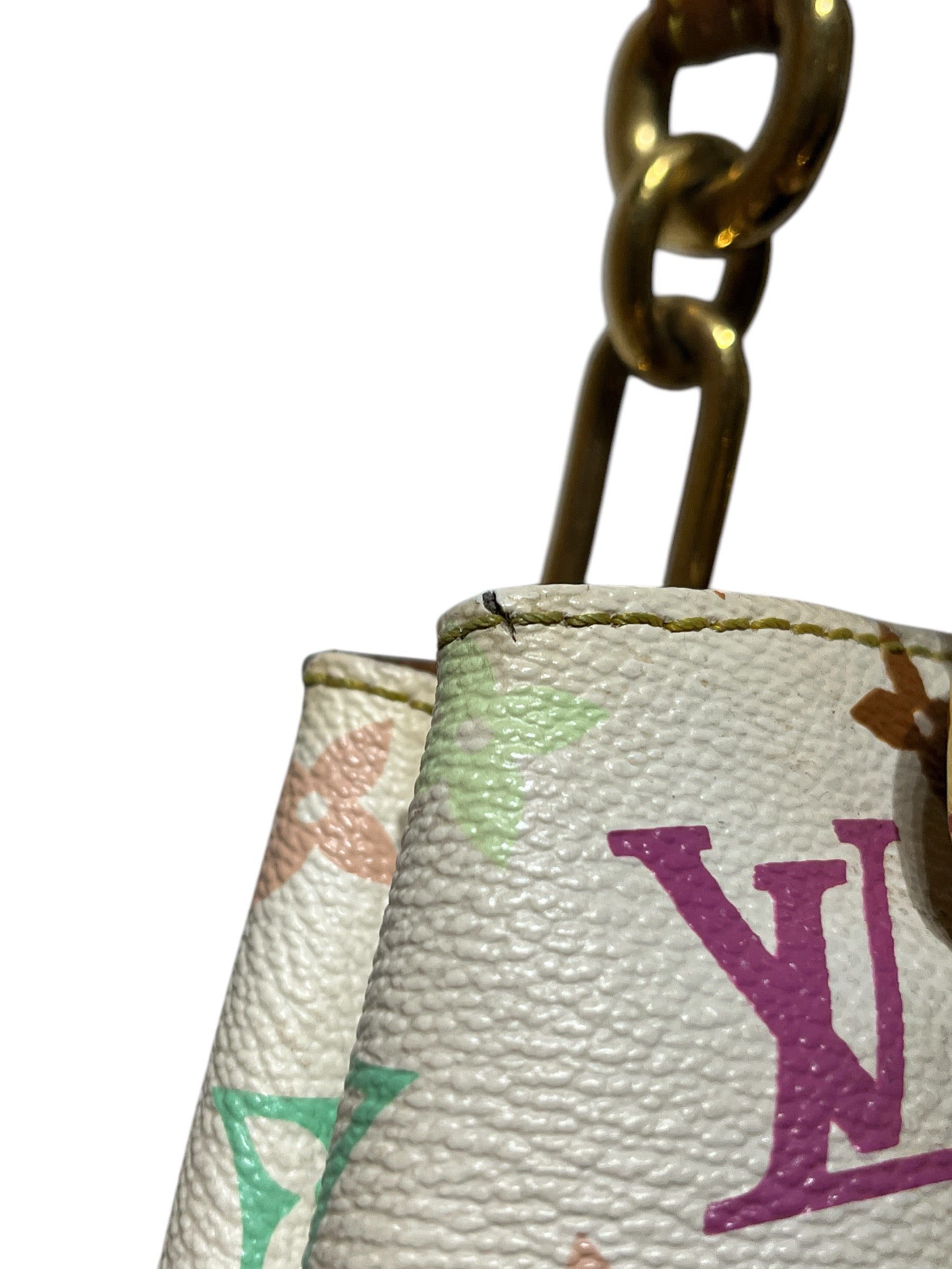 LOUIS VUITTON/Tote Bag/Monogram/Leather/MLT/LVxTAKASHI MURAKAMI AUDRA view 6