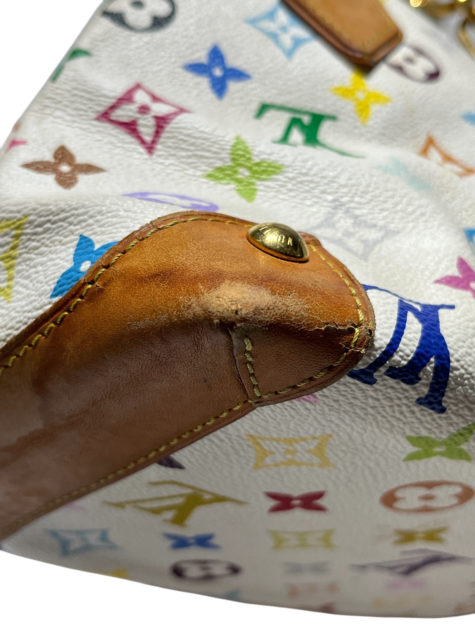LOUIS VUITTON/Tote Bag/Monogram/Leather/MLT/LVxTAKASHI MURAKAMI AUDRA view 5
