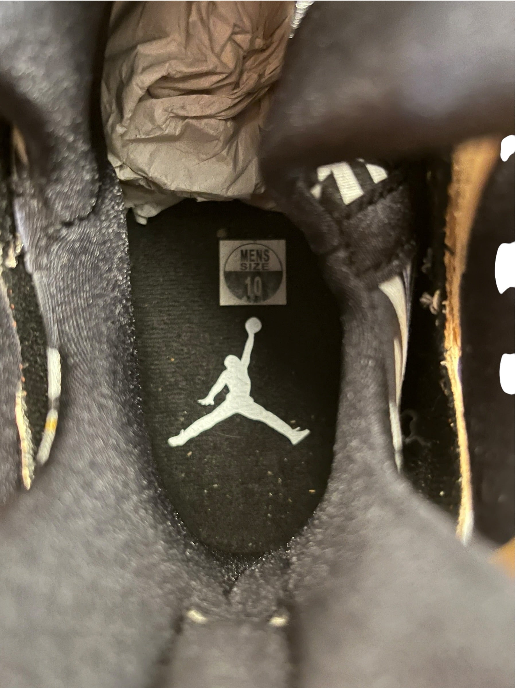 JORDAN BRAND/Hi-Sneakers/US 10/CML/DZ4729-200 view 3